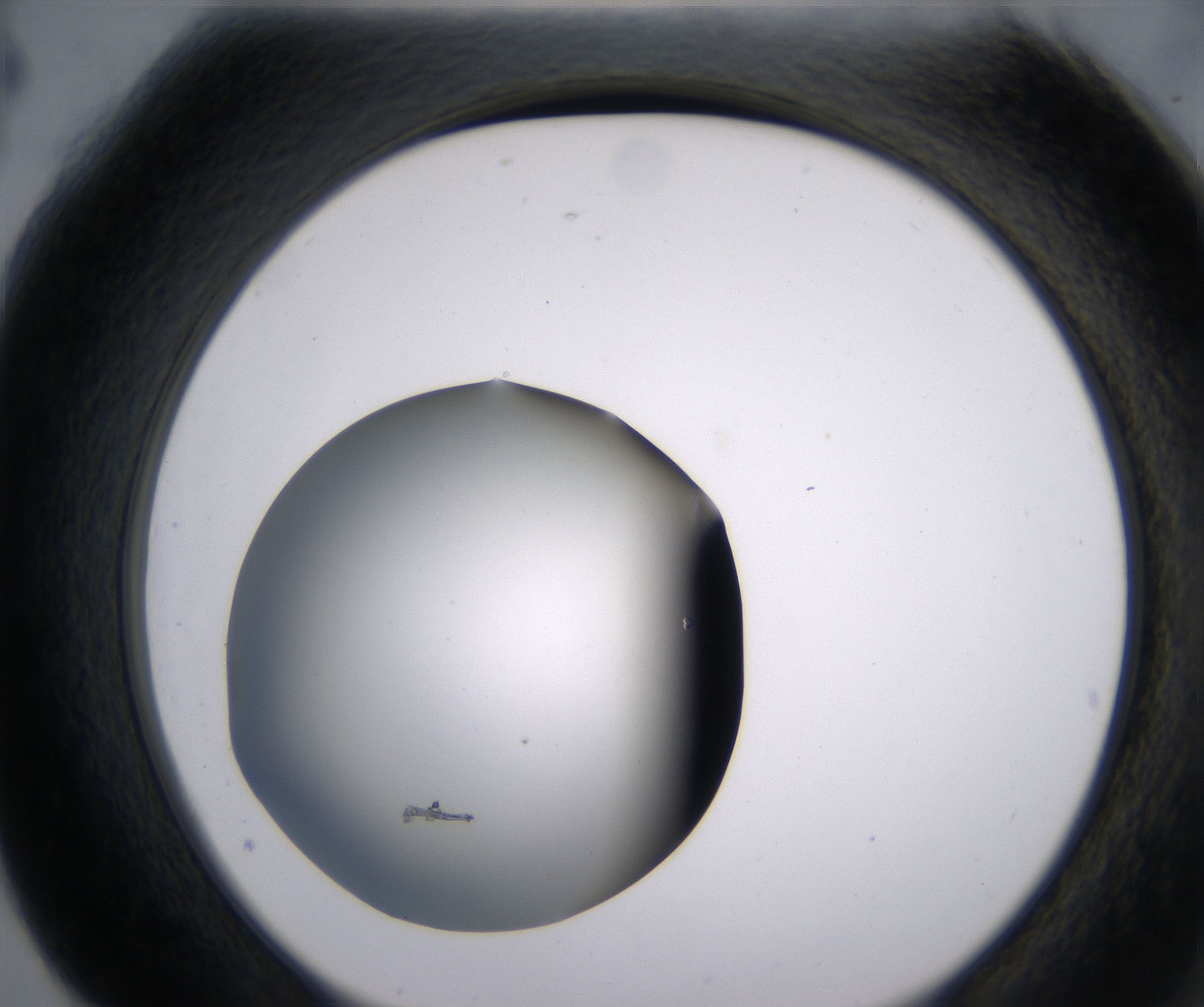 G4_HighResolution_Clear_2.jpg
