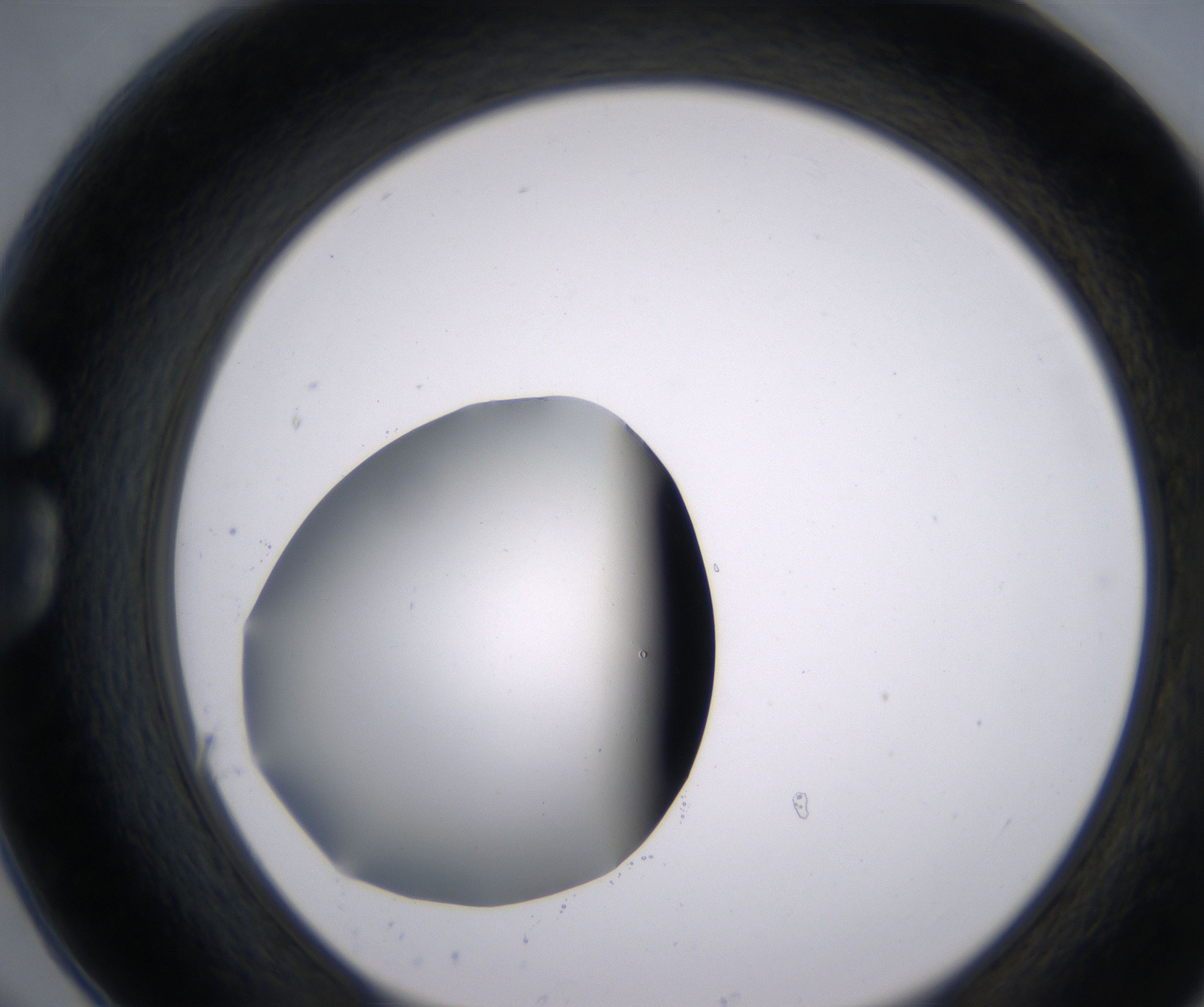 G6_HighResolution_Clear_1.jpg