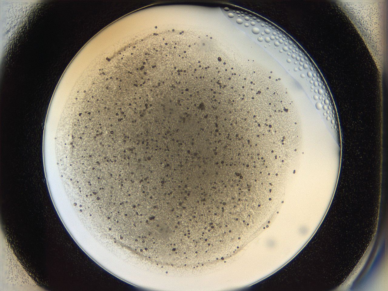 05k2_E1_ImagerDefaults_3.jpg