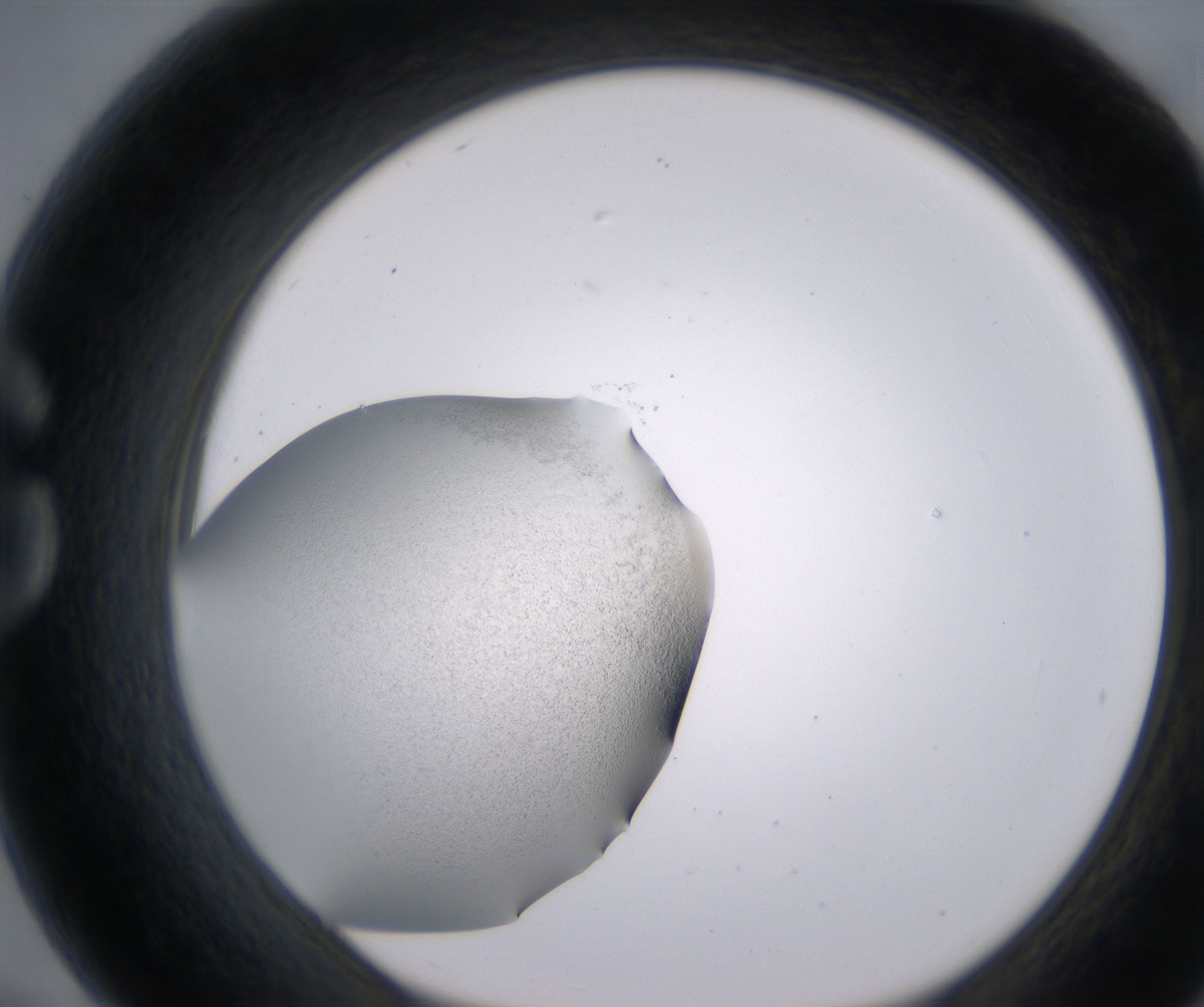 G7_HighResolution_Precipitate_1.jpg