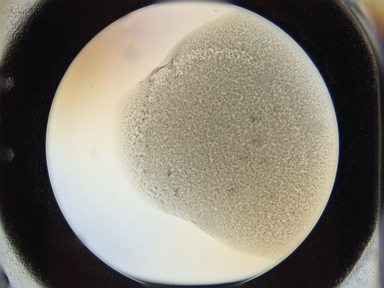 05k2_E2_ImagerDefaults_3.jpg
