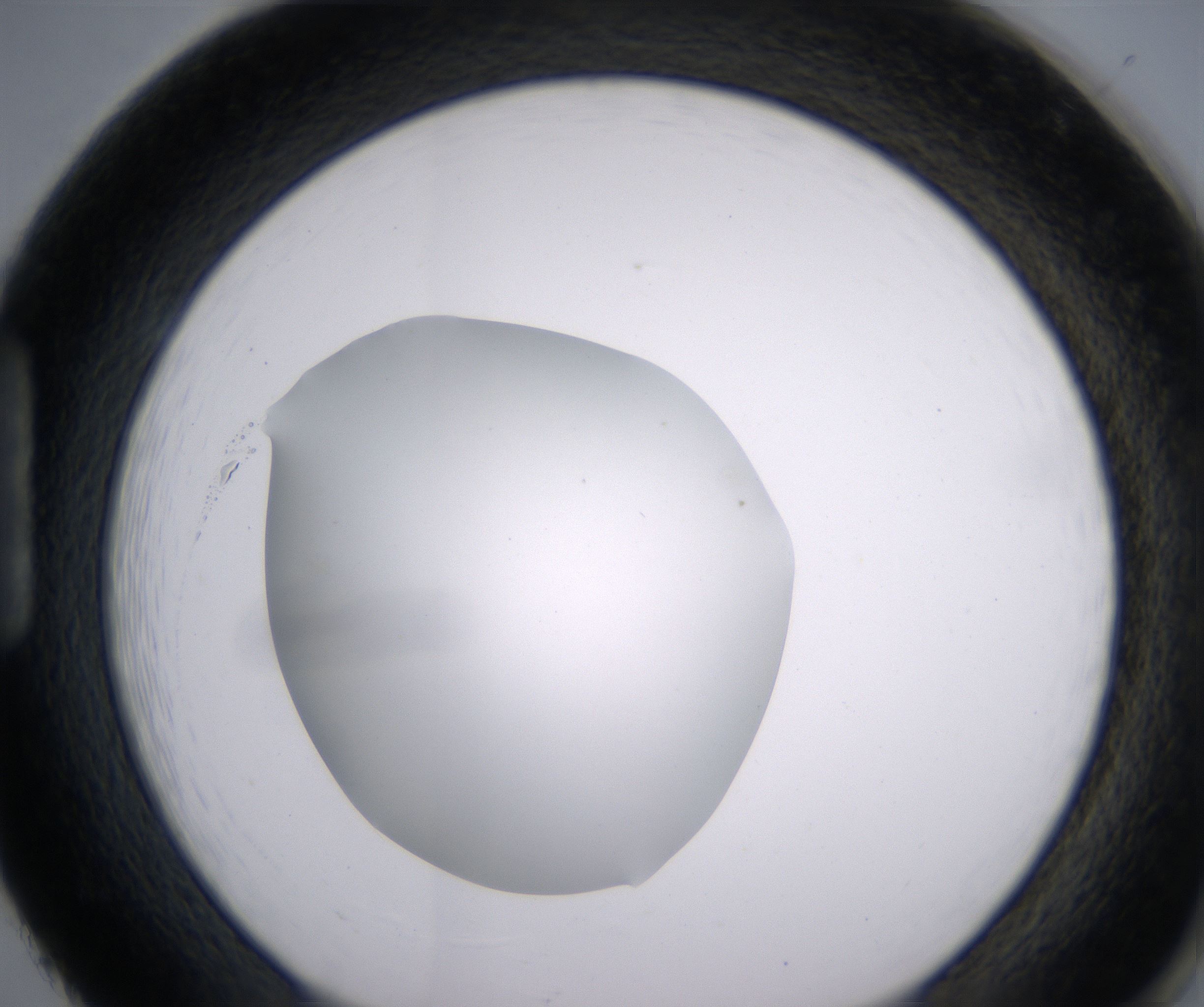 H2_HighResolution_Clear_1.jpg