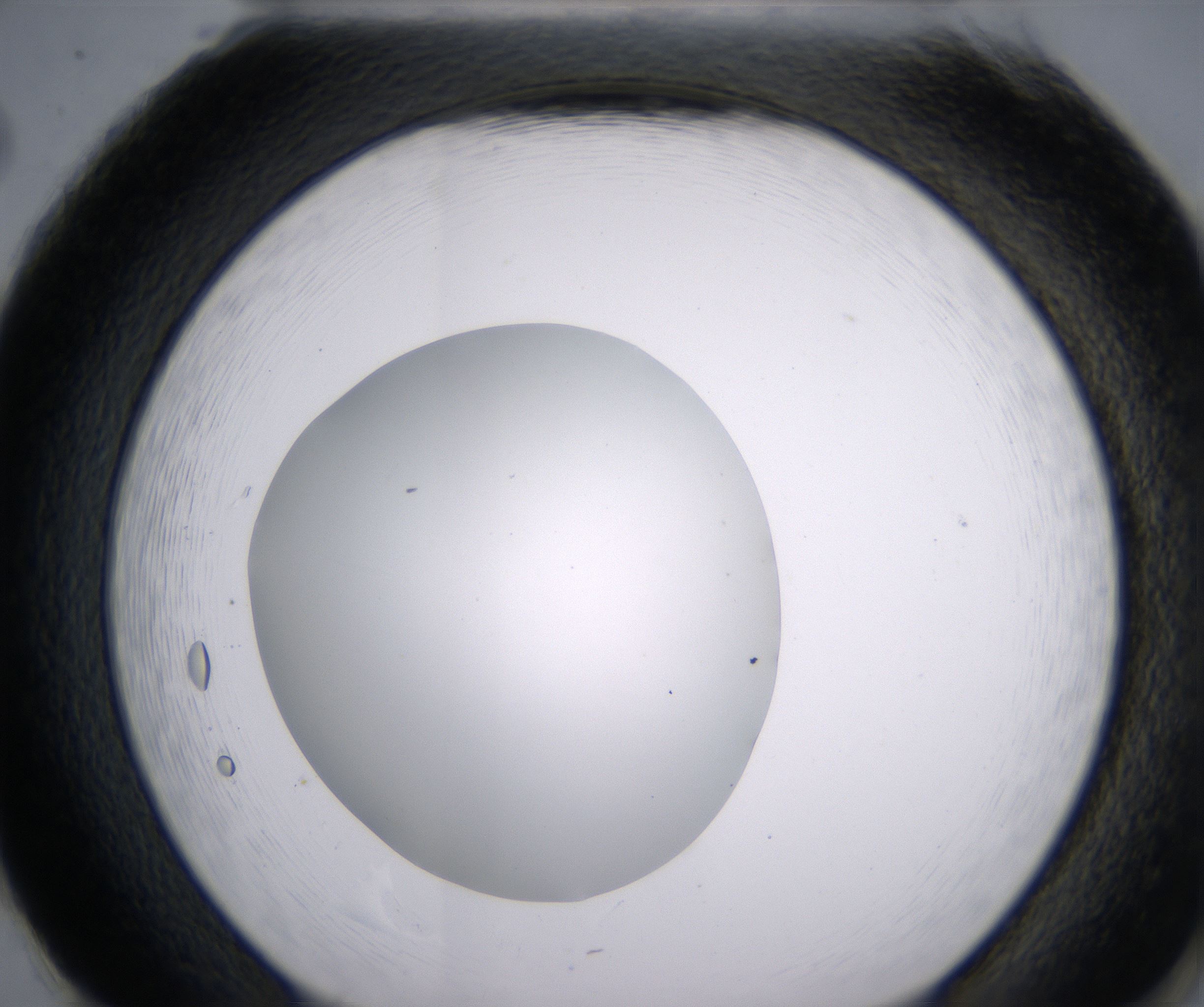 H2_HighResolution_Clear_2.jpg