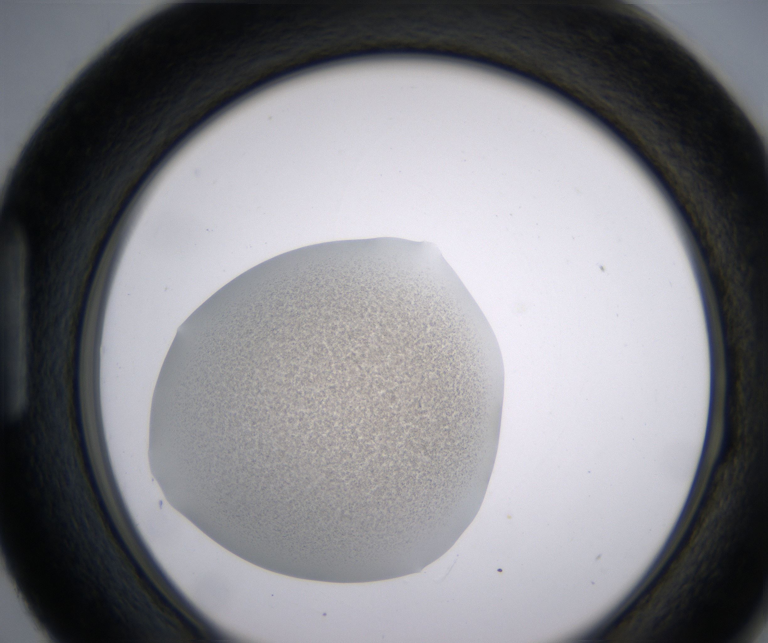 H3_HighResolution_Precipitate_1.jpg
