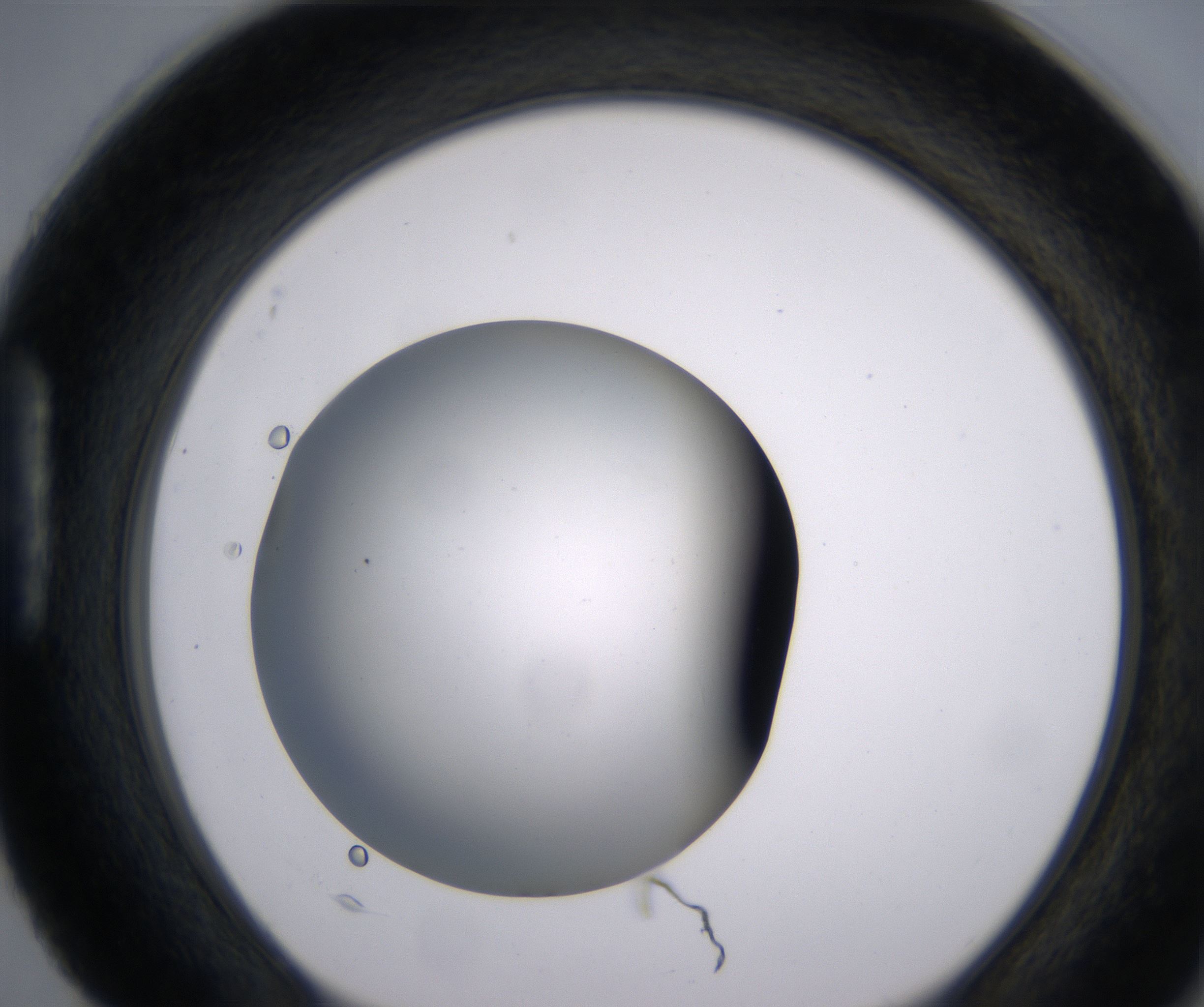 H4_HighResolution_Clear_1.jpg