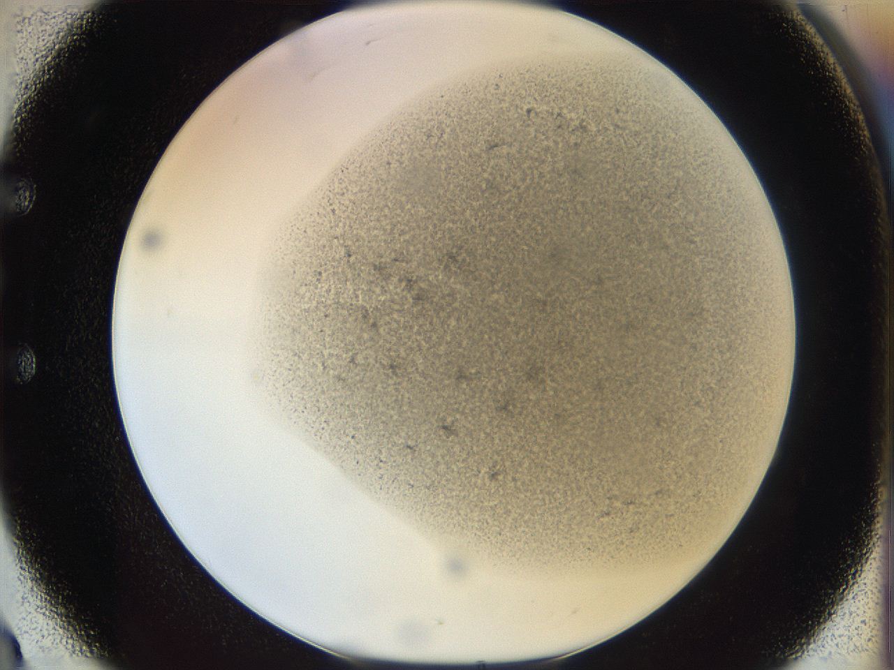 05k2_E3_ImagerDefaults_3.jpg