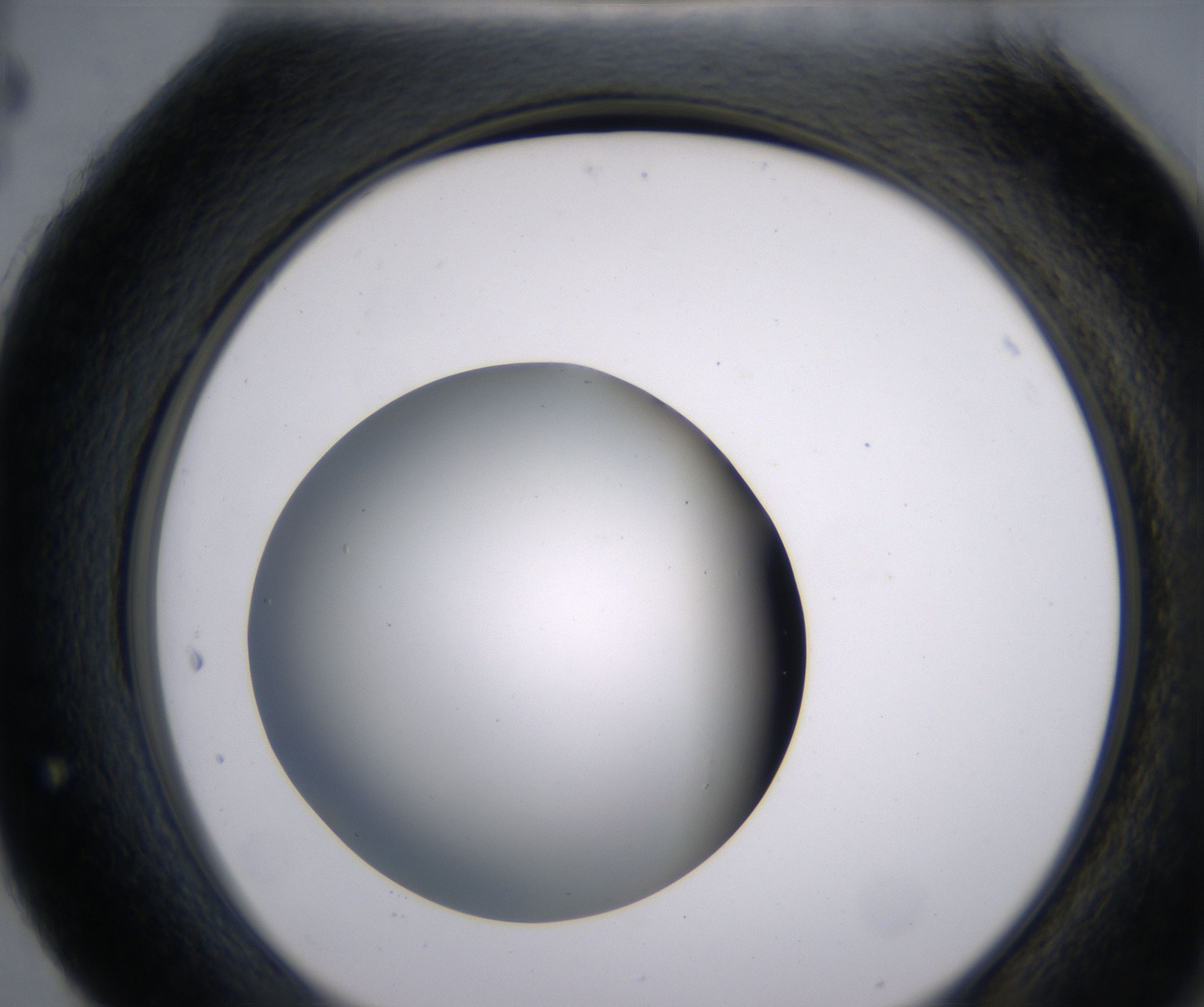 H4_HighResolution_Clear_2.jpg