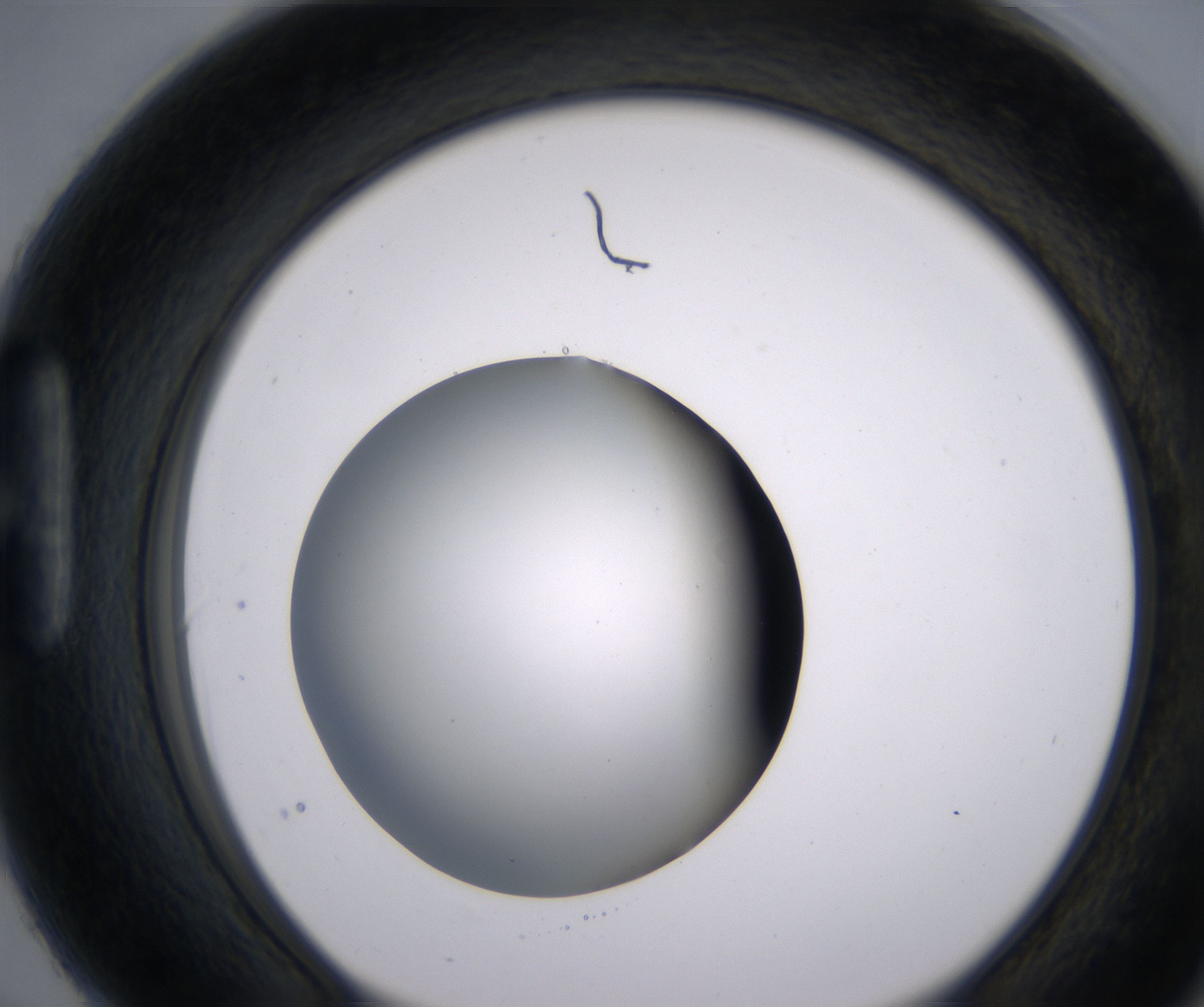 H6_HighResolution_Clear_1.jpg