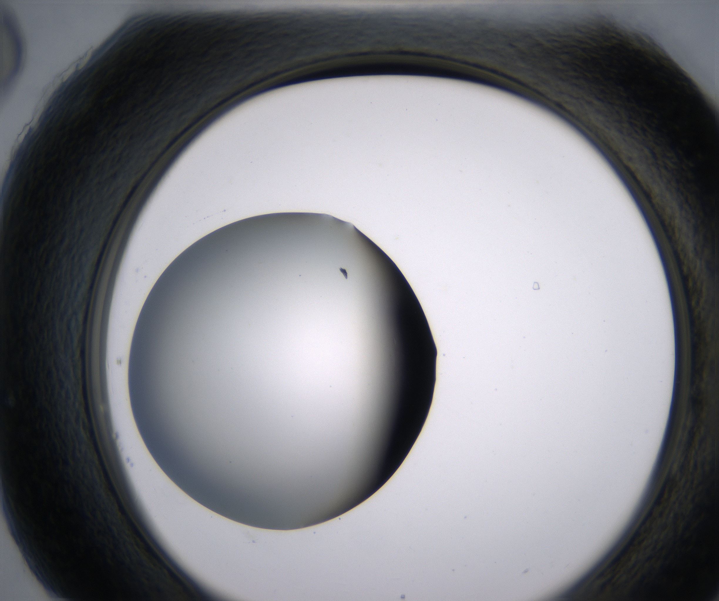 H6_HighResolution_Clear_2.jpg
