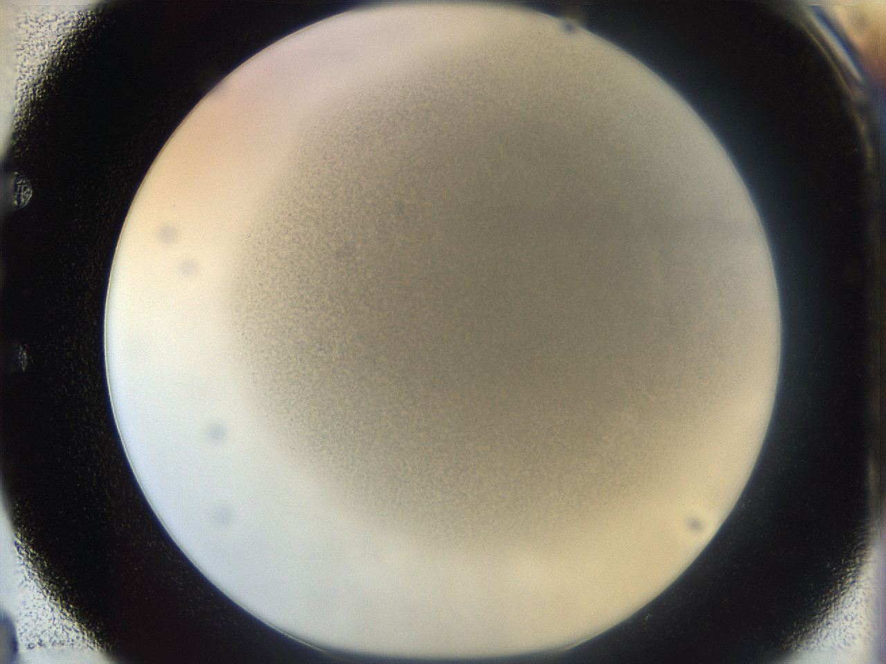 05k2_E4_ImagerDefaults_3.jpg