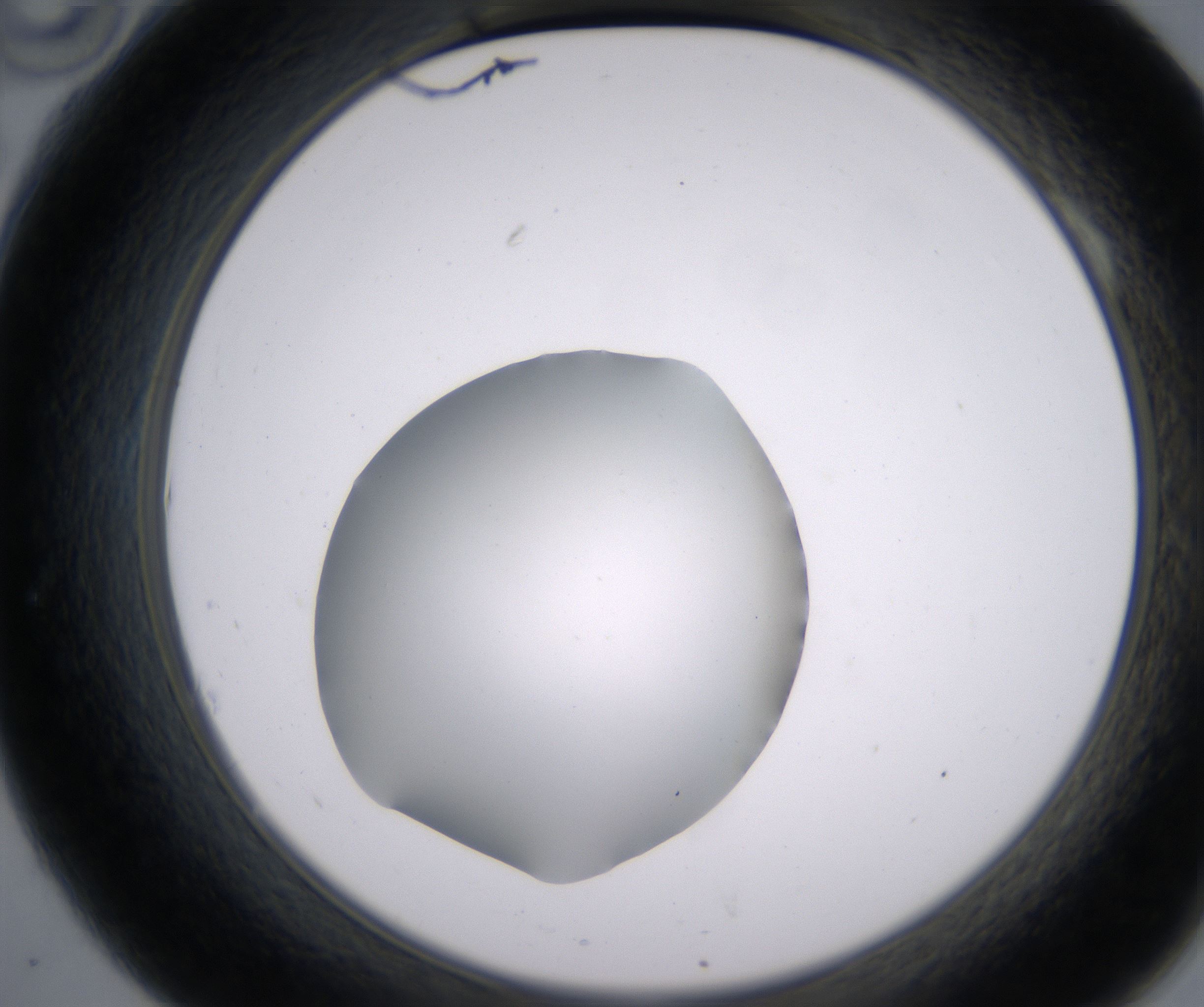 A10_HighResolution_Clear_2.jpg