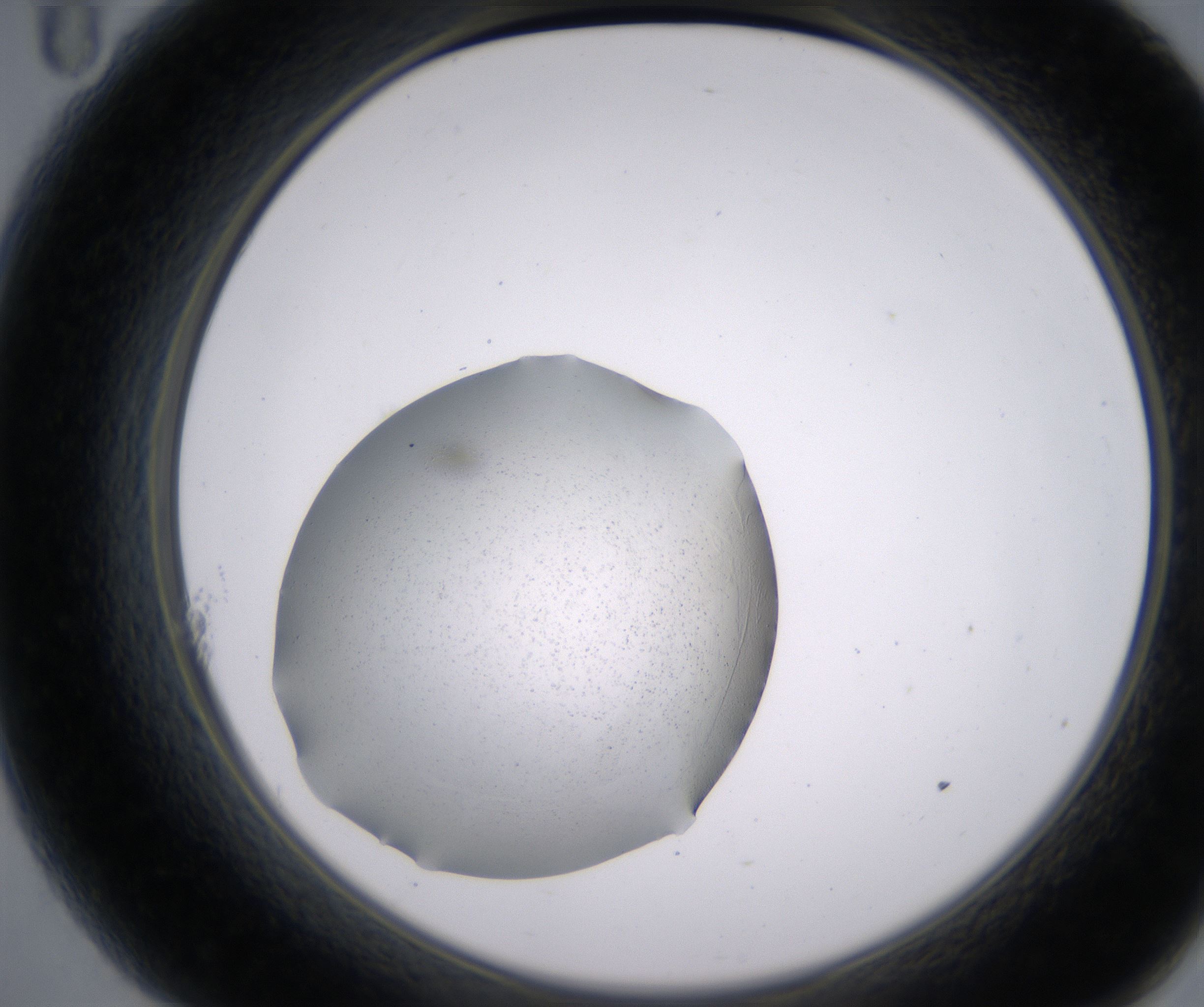 A11_HighResolution_Precipitate_2.jpg
