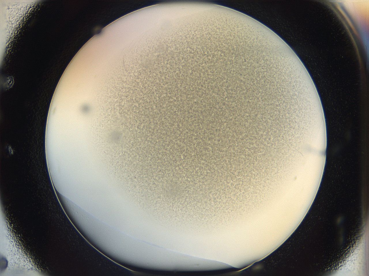 05k2_E5_ImagerDefaults_3.jpg