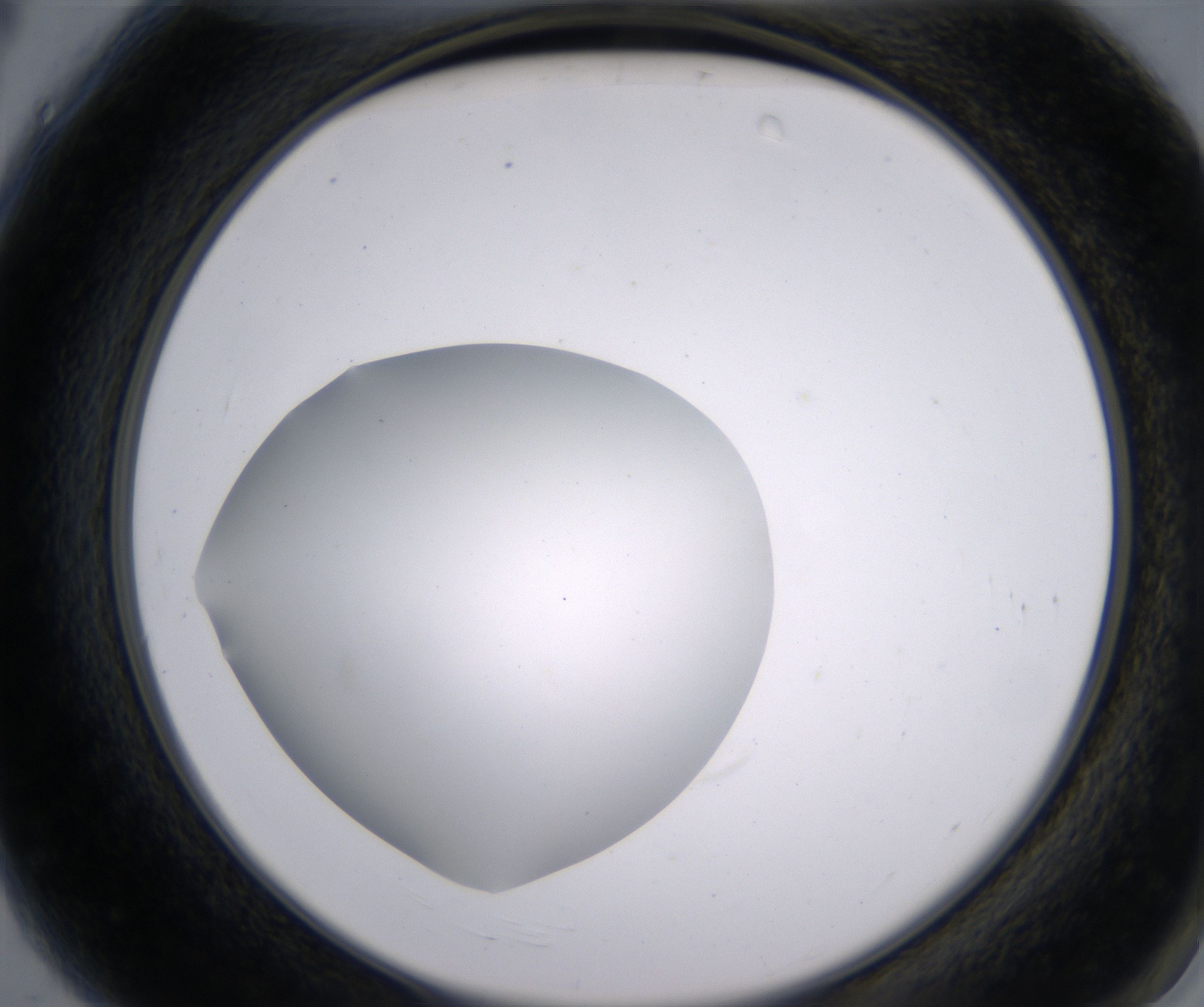 A4_HighResolution_Clear_2.jpg