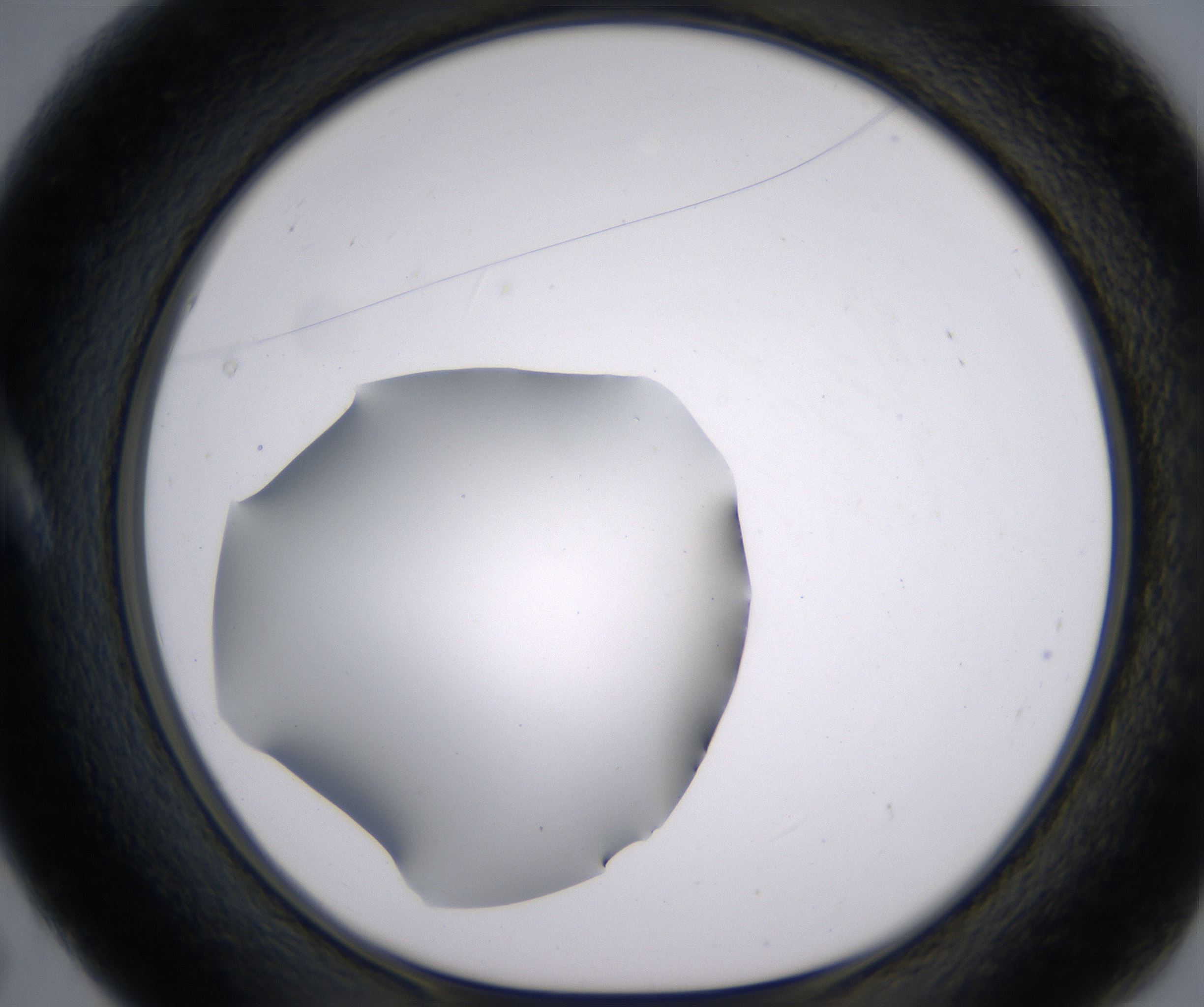 A5_HighResolution_Clear_1.jpg