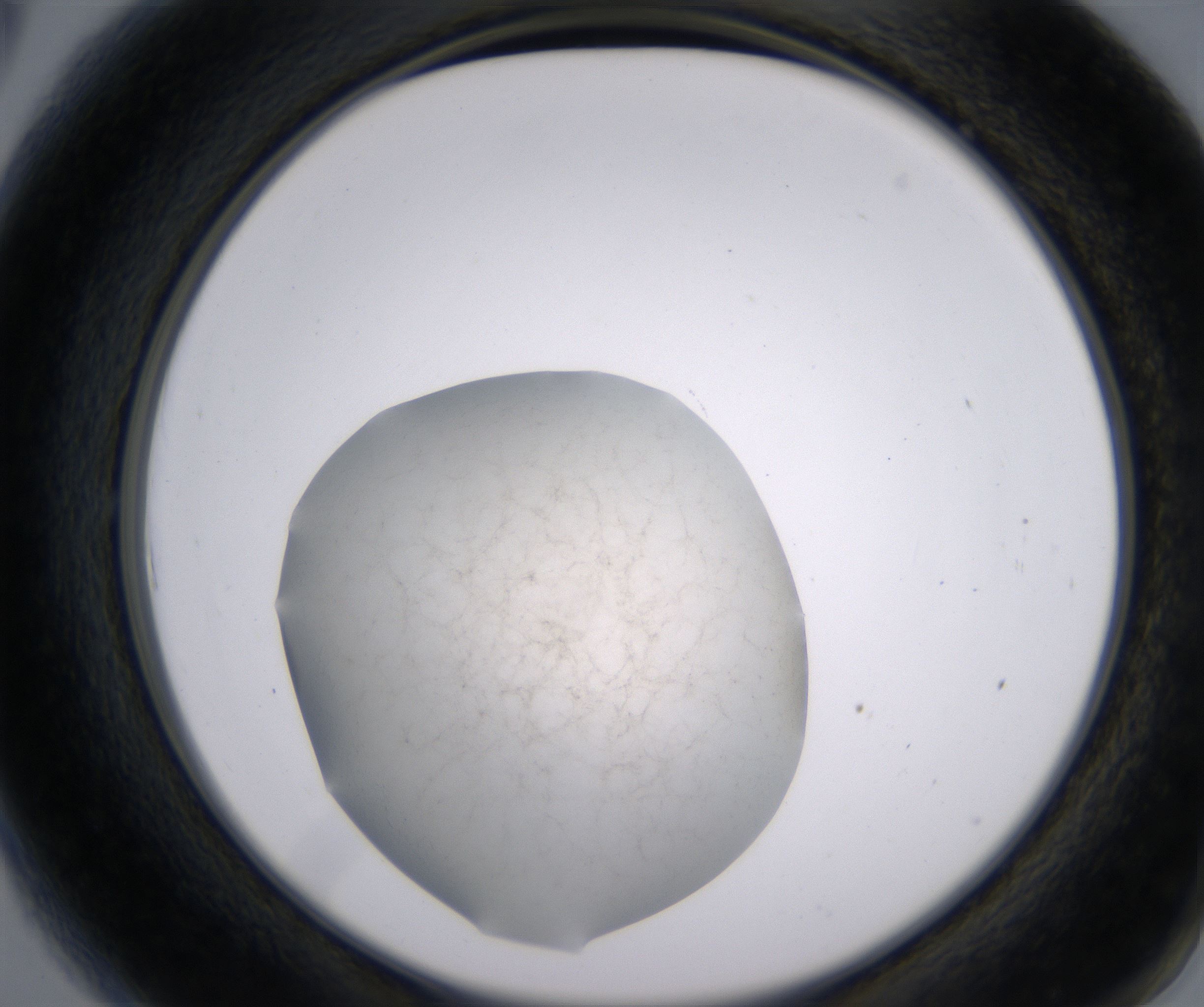 A6_HighResolution_Precipitate_2.jpg