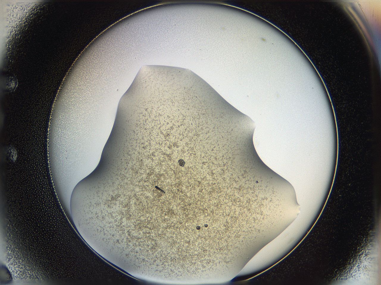 05k2_E6_ImagerDefaults_3.jpg