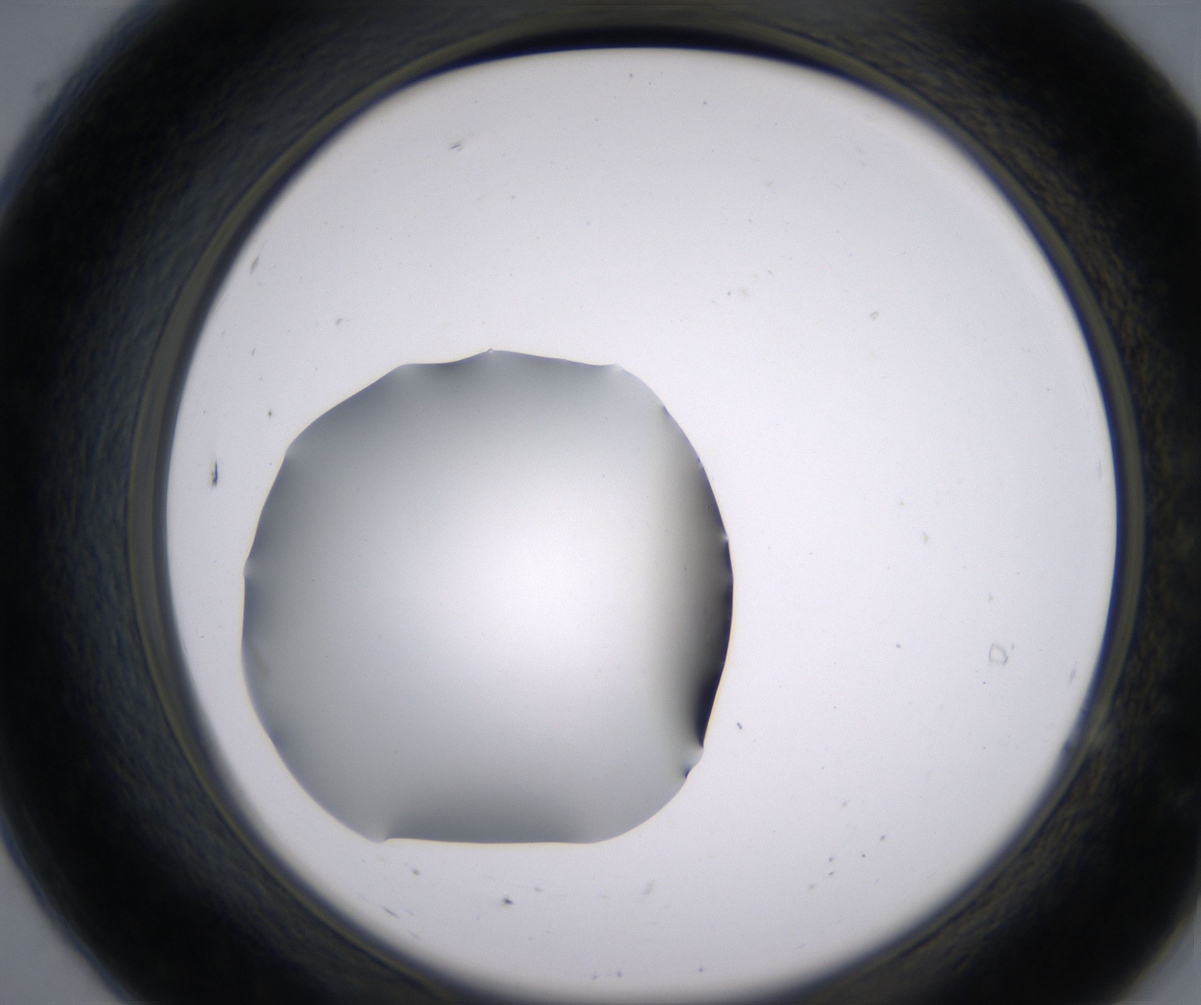 A7_HighResolution_Clear_2.jpg