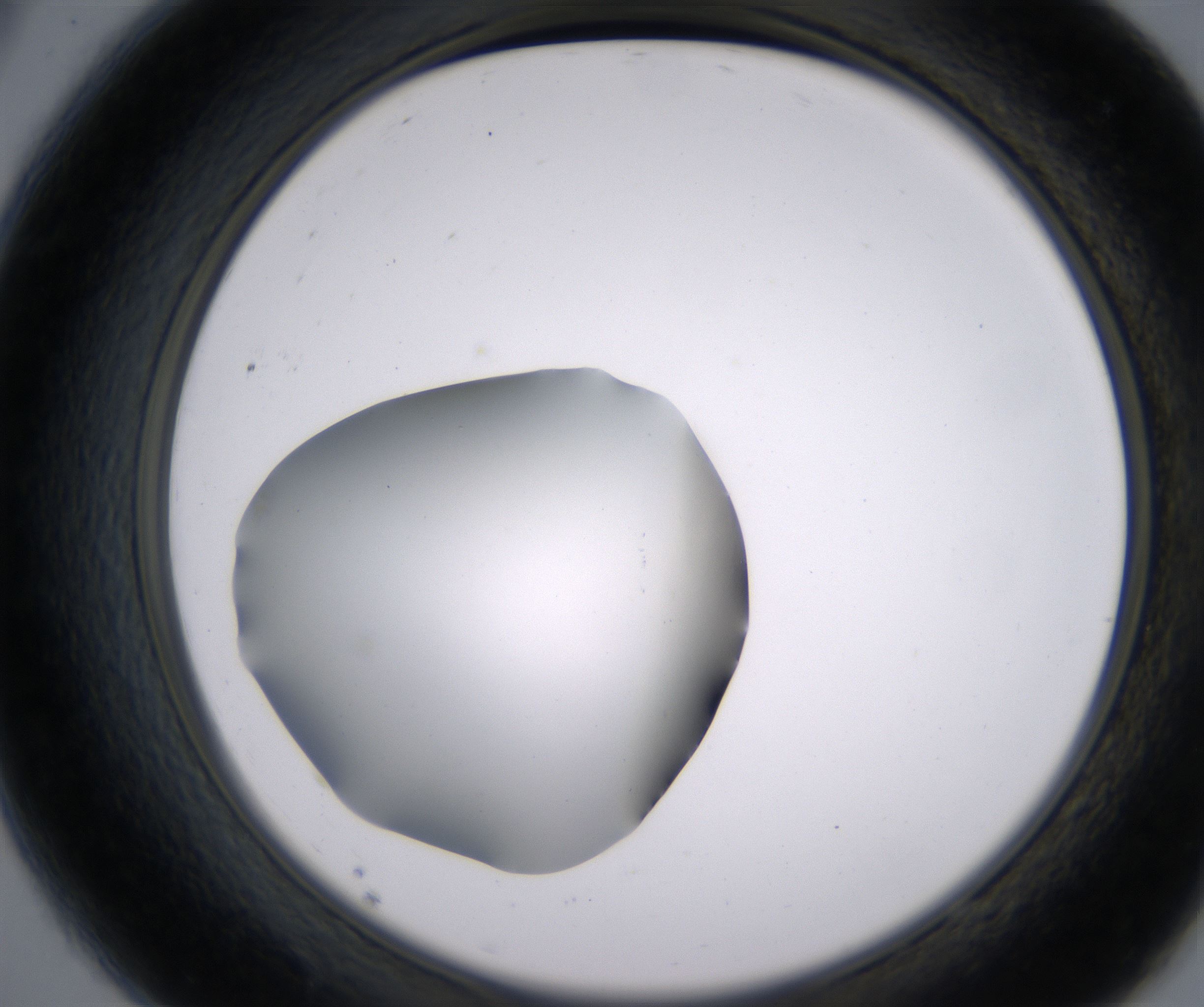 A9_HighResolution_Clear_2.jpg