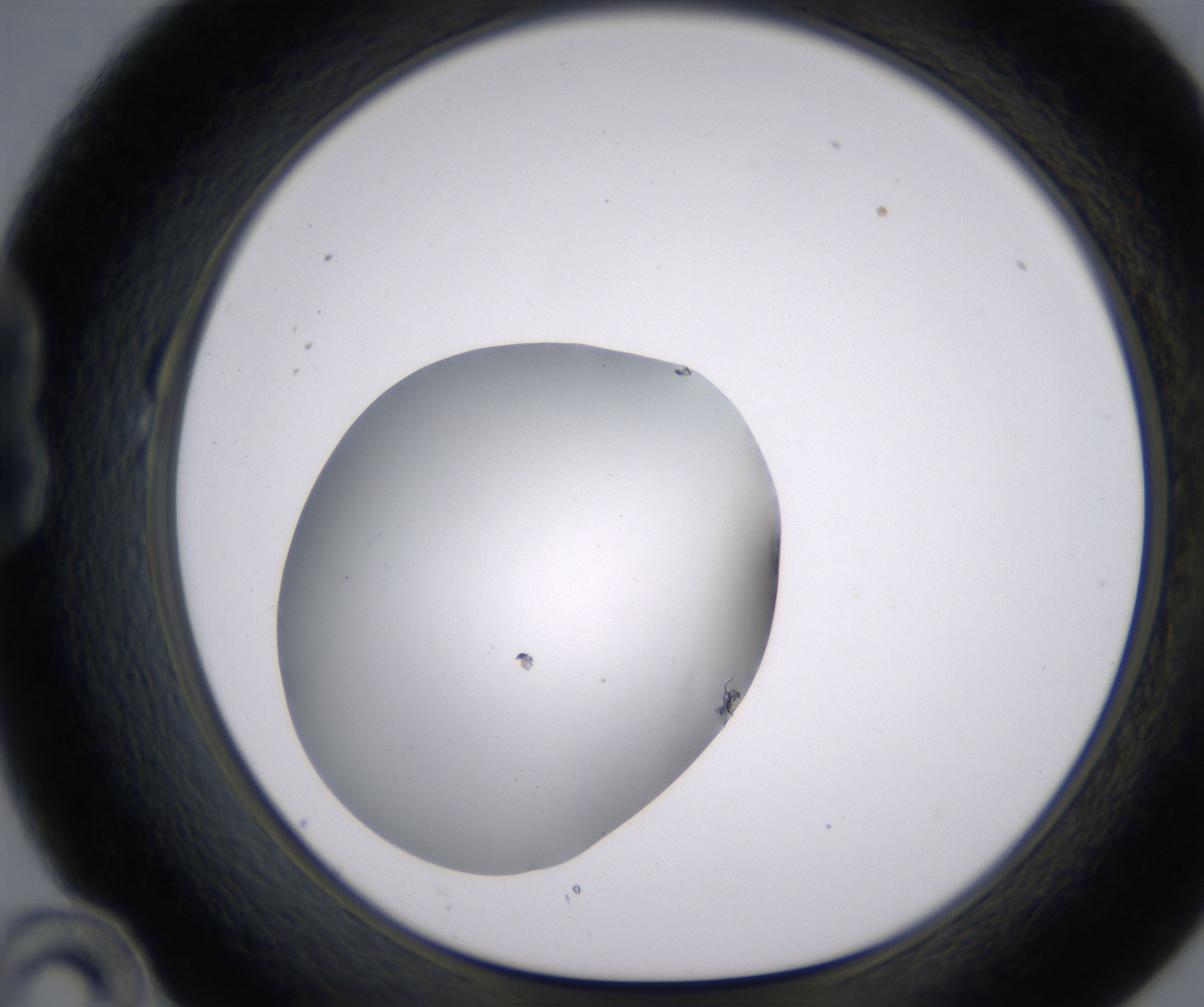 B10_HighResolution_Clear_1.jpg