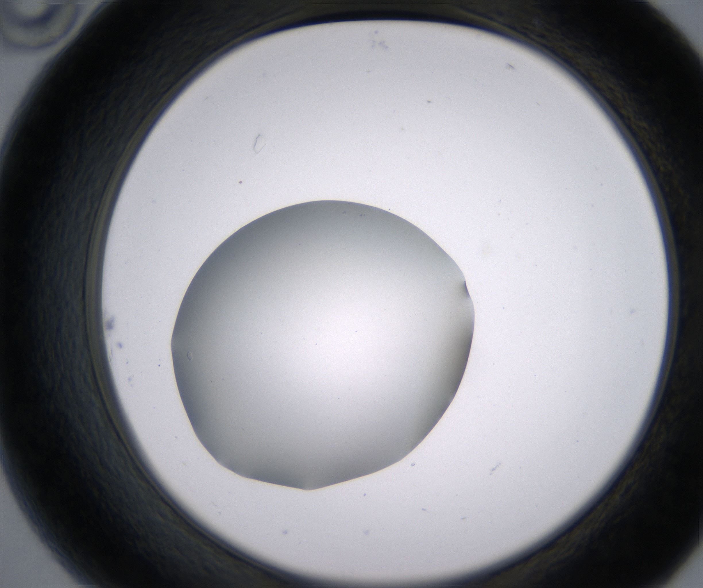B10_HighResolution_Clear_2.jpg