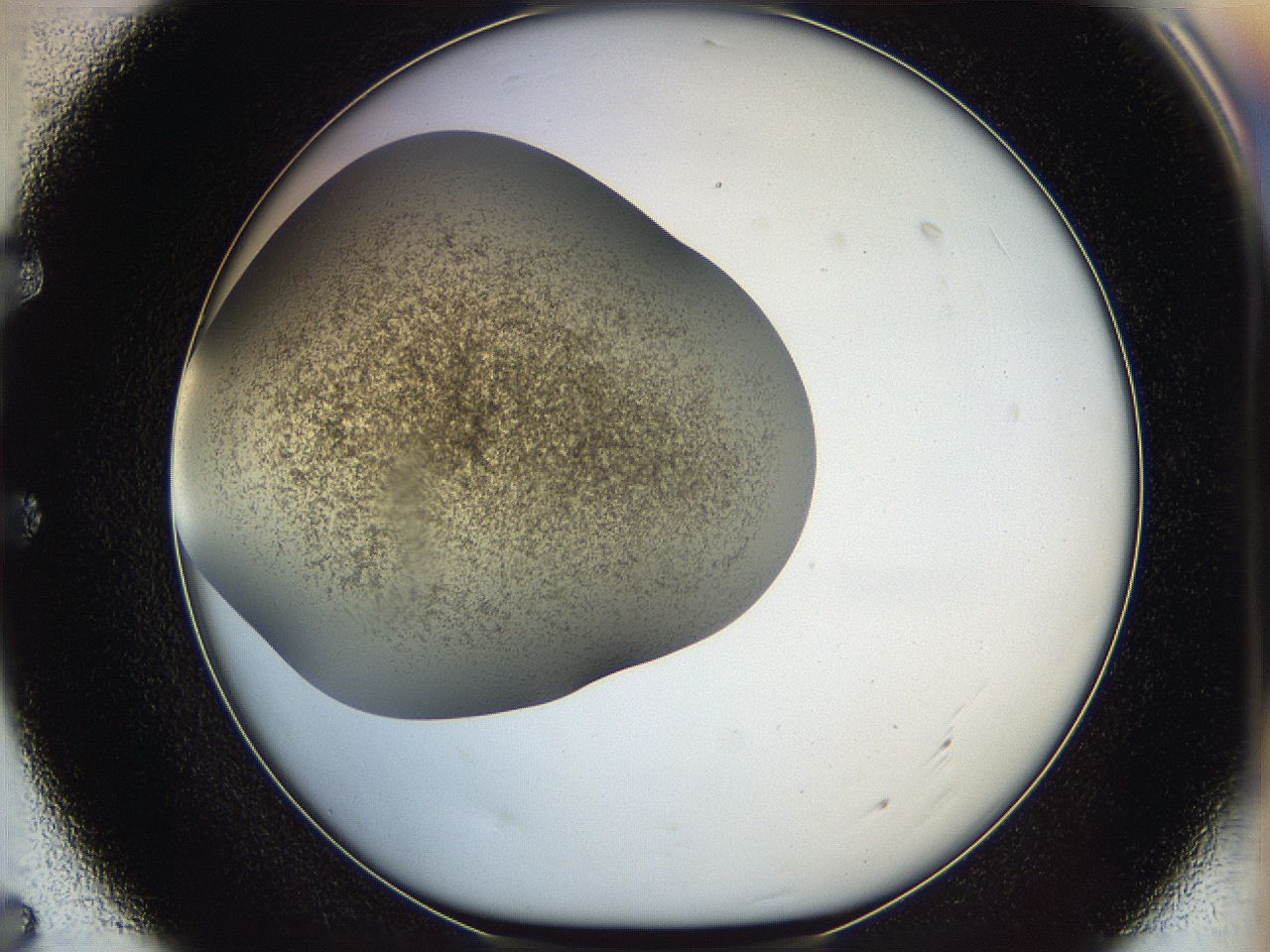 05k2_E7_ImagerDefaults_3.jpg
