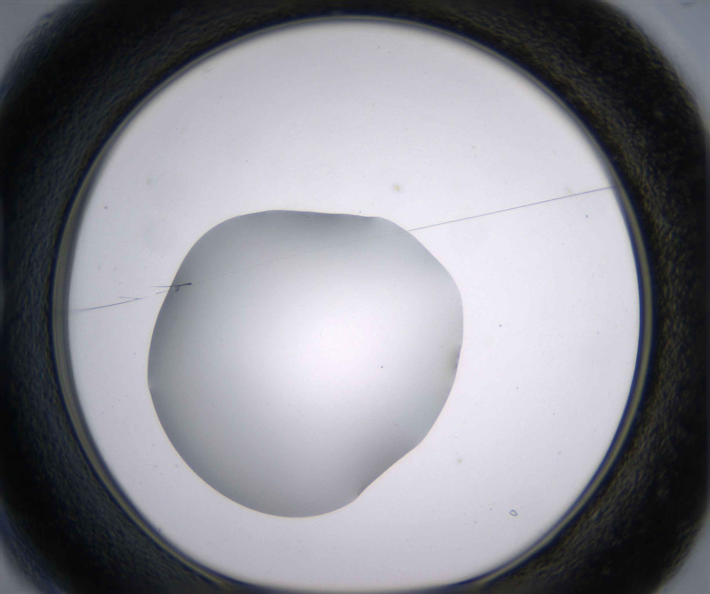 B1_HighResolution_Clear_1.jpg