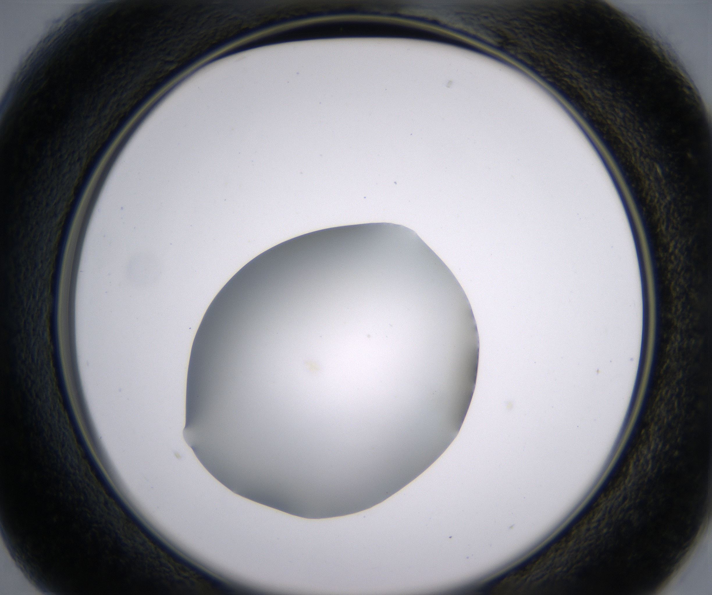 B1_HighResolution_Clear_2.jpg