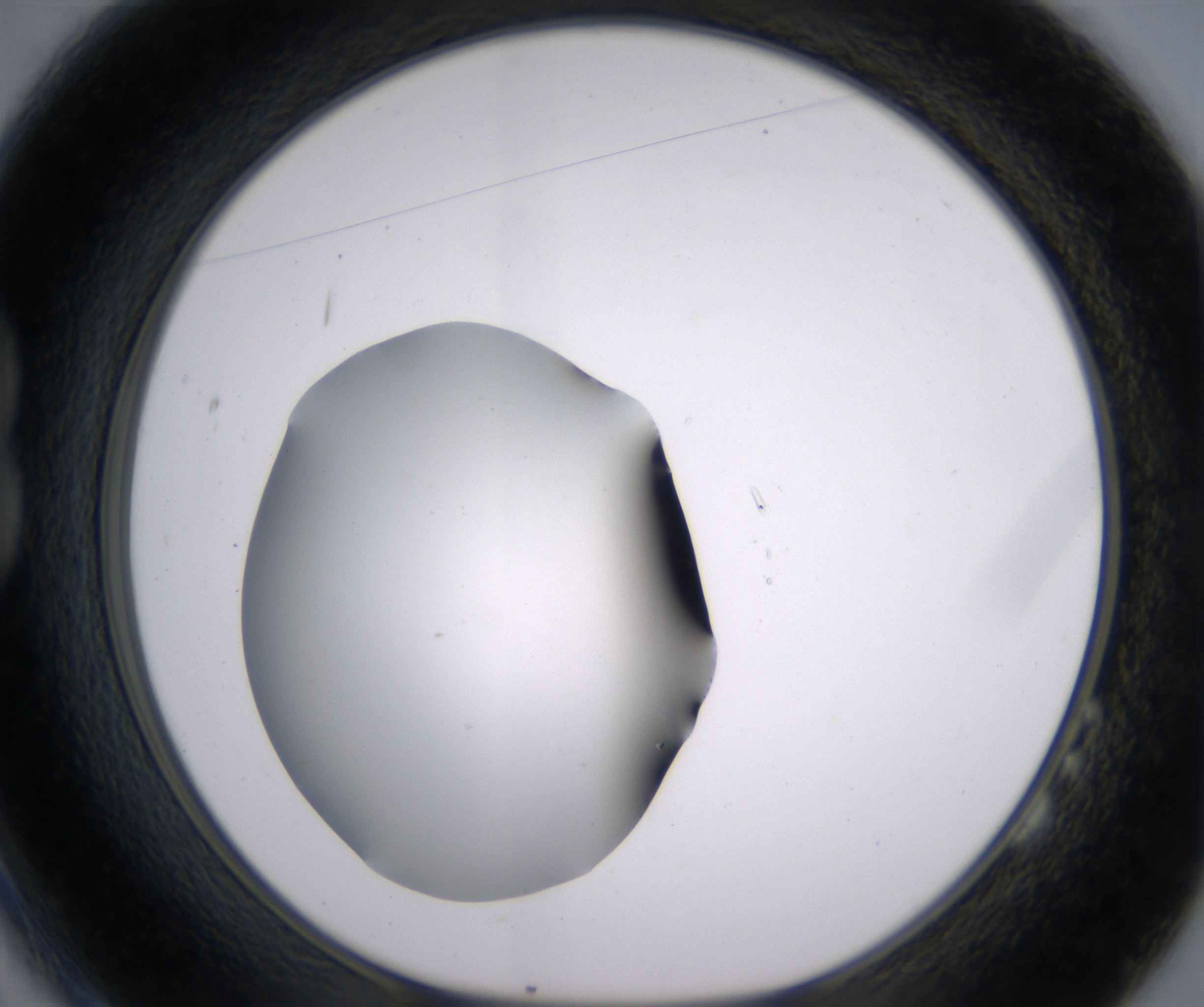 B2_HighResolution_Clear_1.jpg