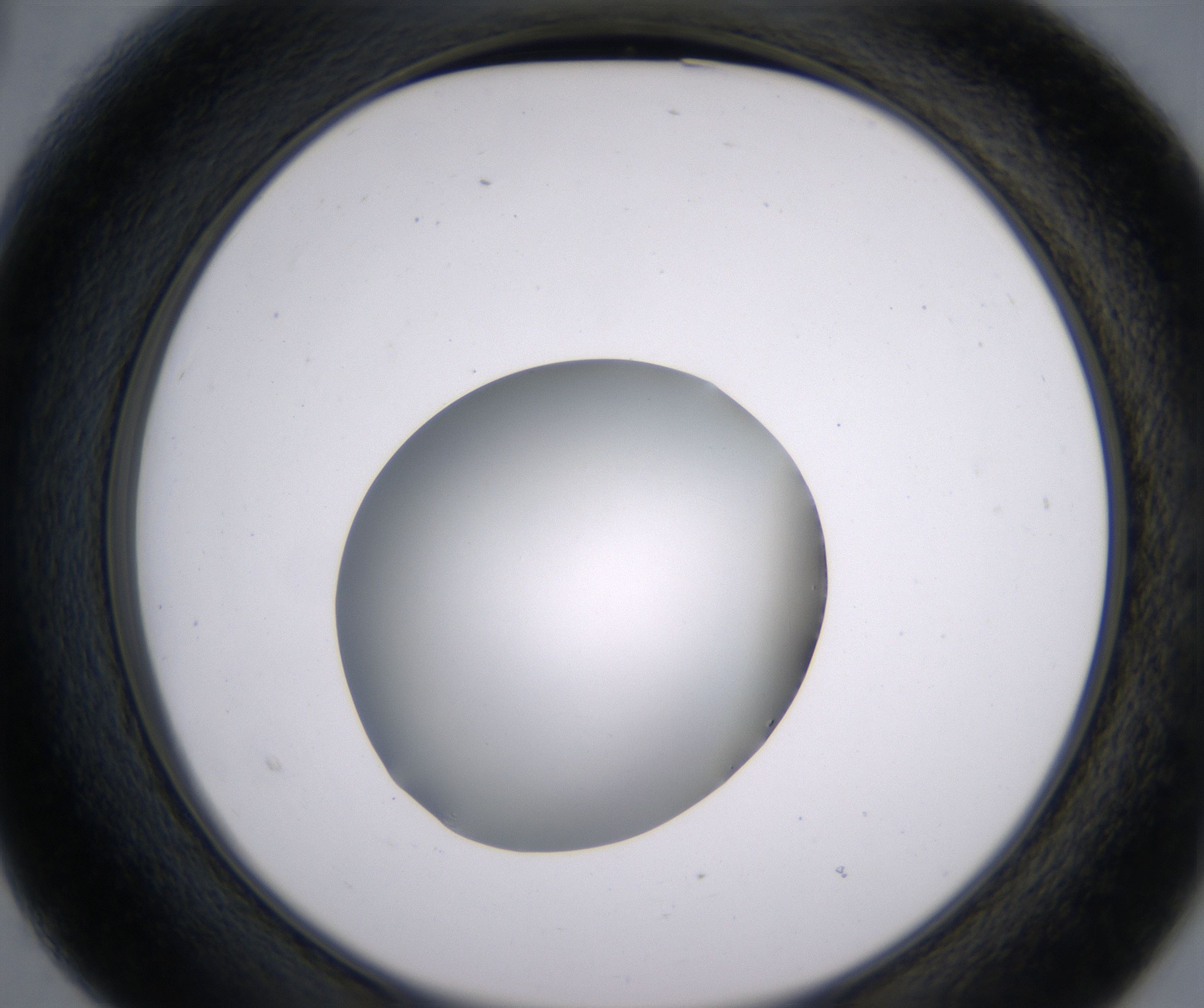 B3_HighResolution_Clear_2.jpg