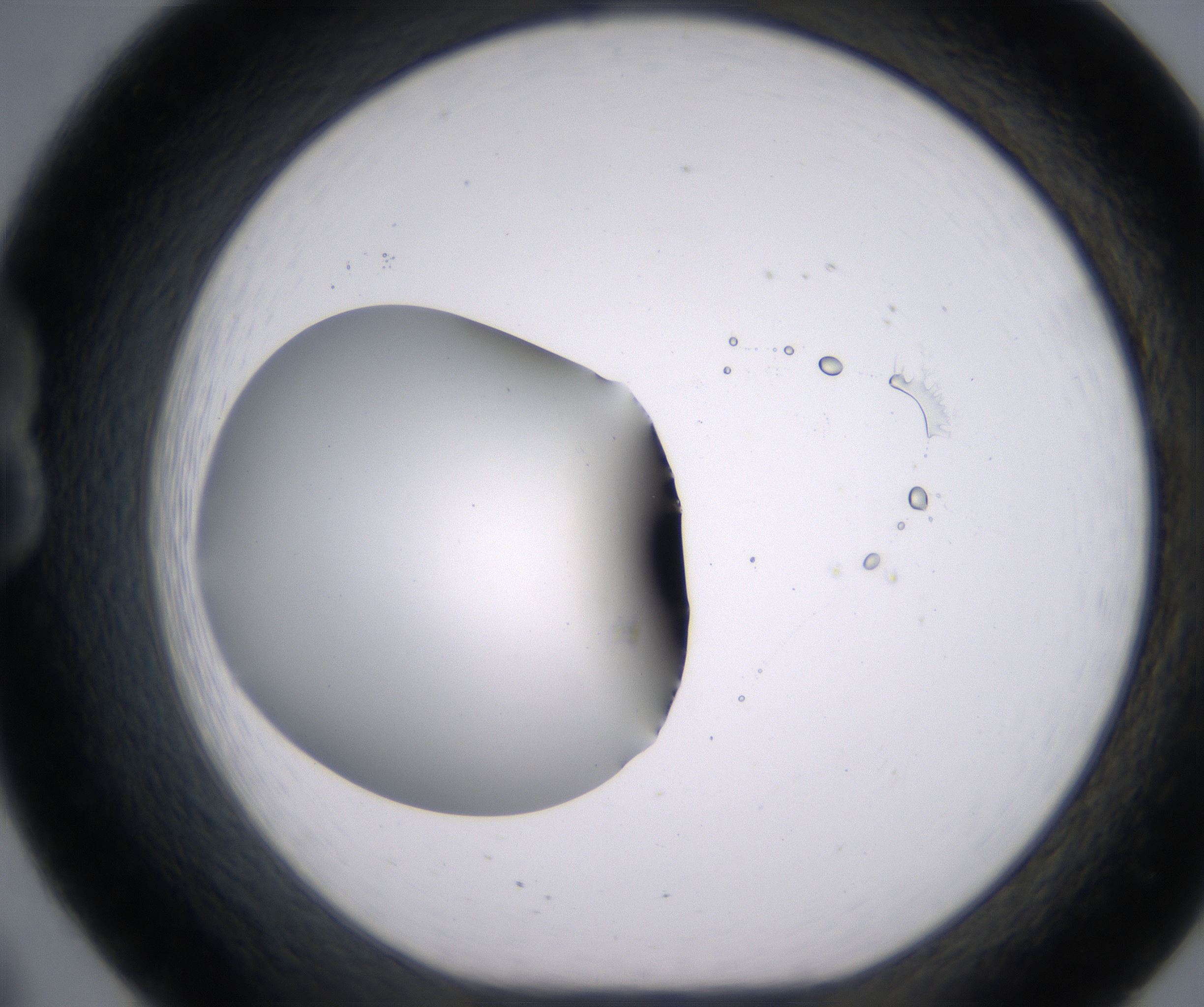 B8_HighResolution_Clear_1.jpg
