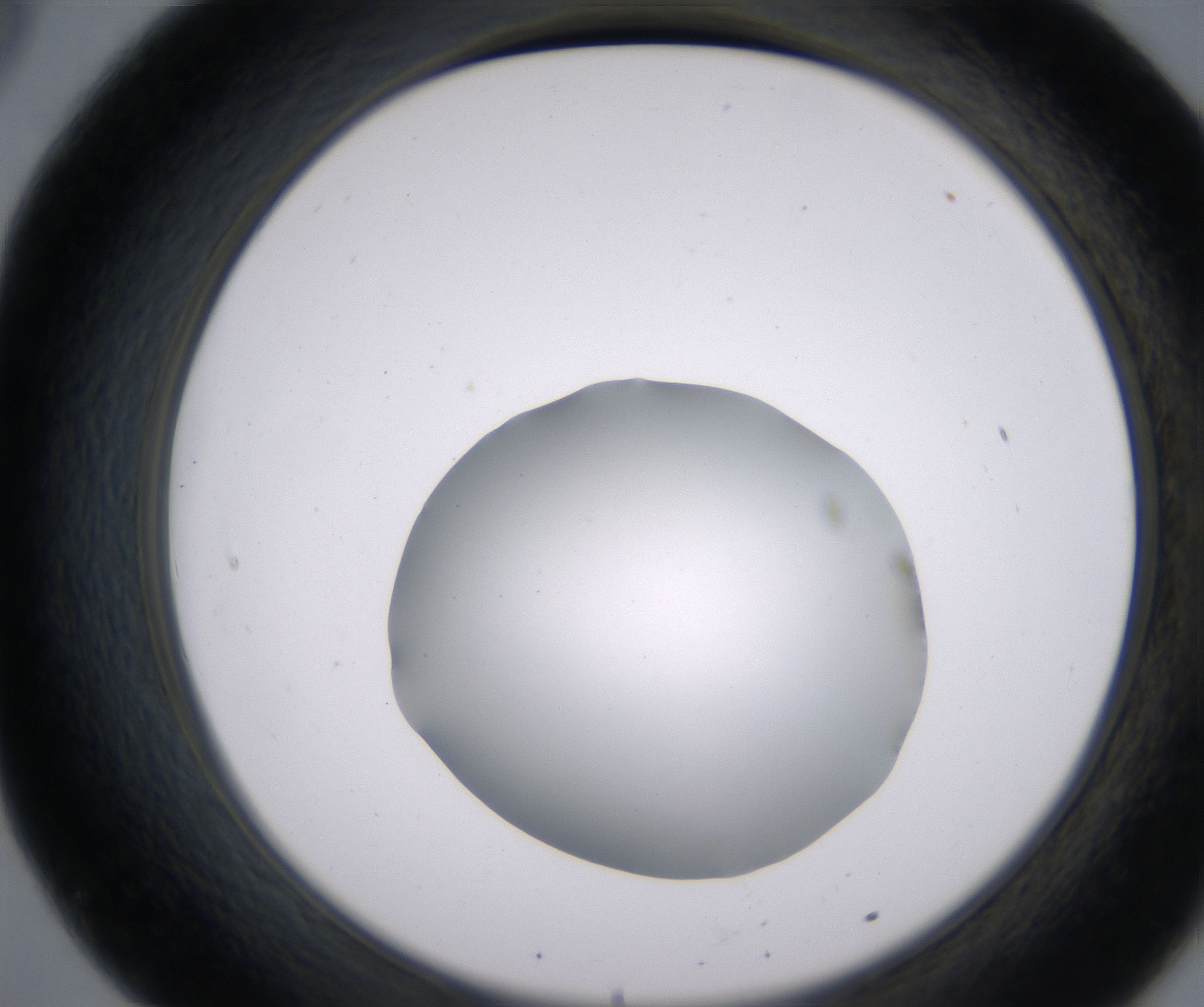 B8_HighResolution_Clear_2.jpg