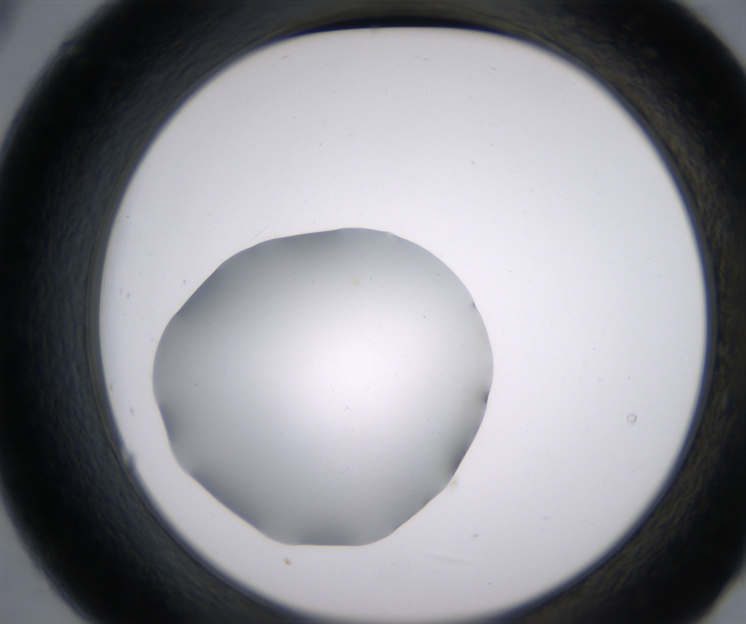 B9_HighResolution_Clear_2.jpg