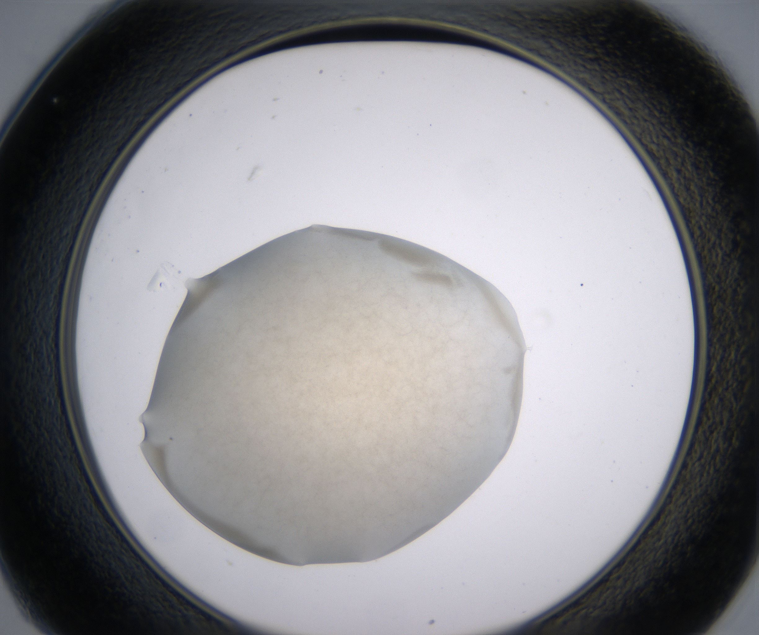 C1_HighResolution_Precipitate_2.jpg