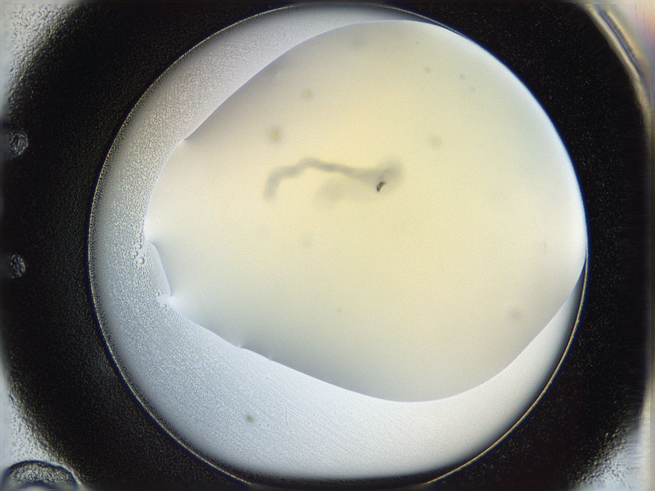 05k2_E10_ImagerDefaults_0.jpg