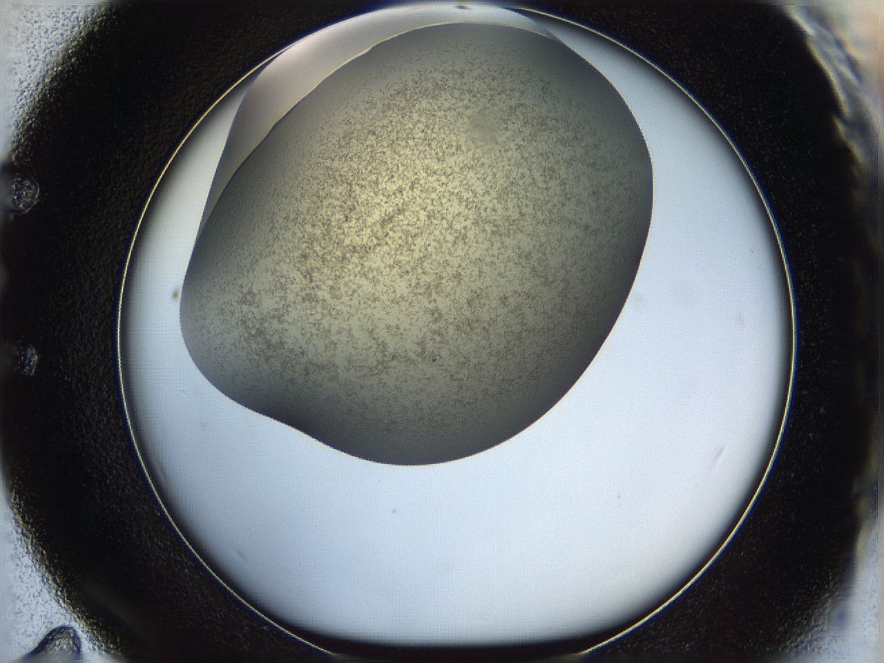 05k2_E11_ImagerDefaults_3.jpg