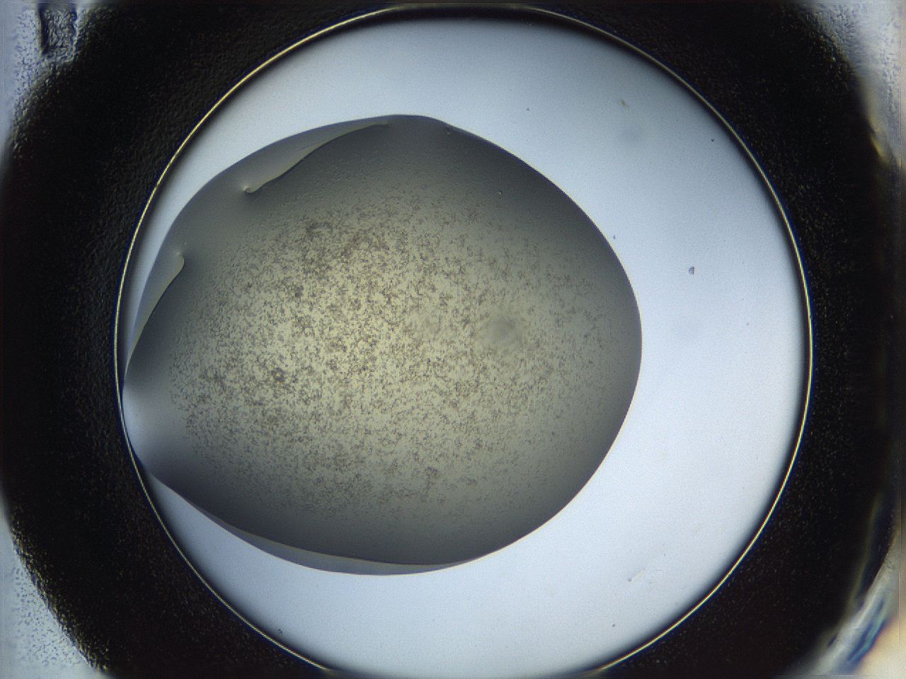 05k2_E11_ImagerDefaults_2.jpg