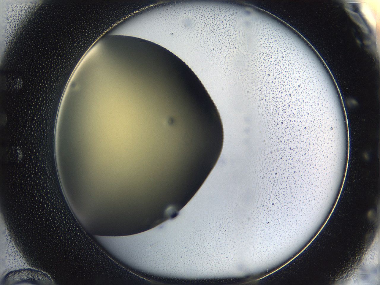 05k2_E12_ImagerDefaults_0.jpg