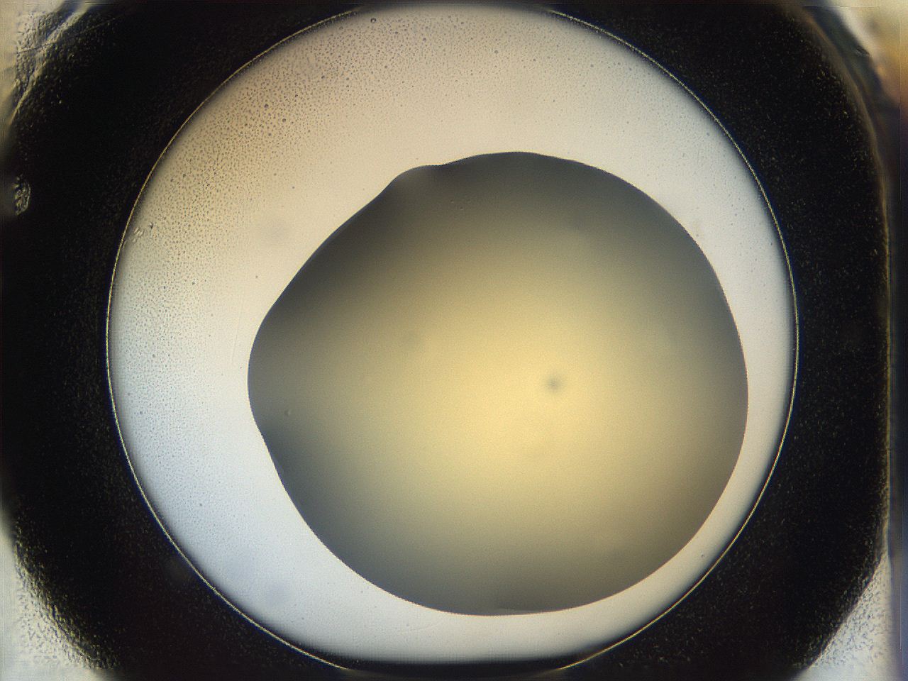 05k2_F1_ImagerDefaults_0.jpg