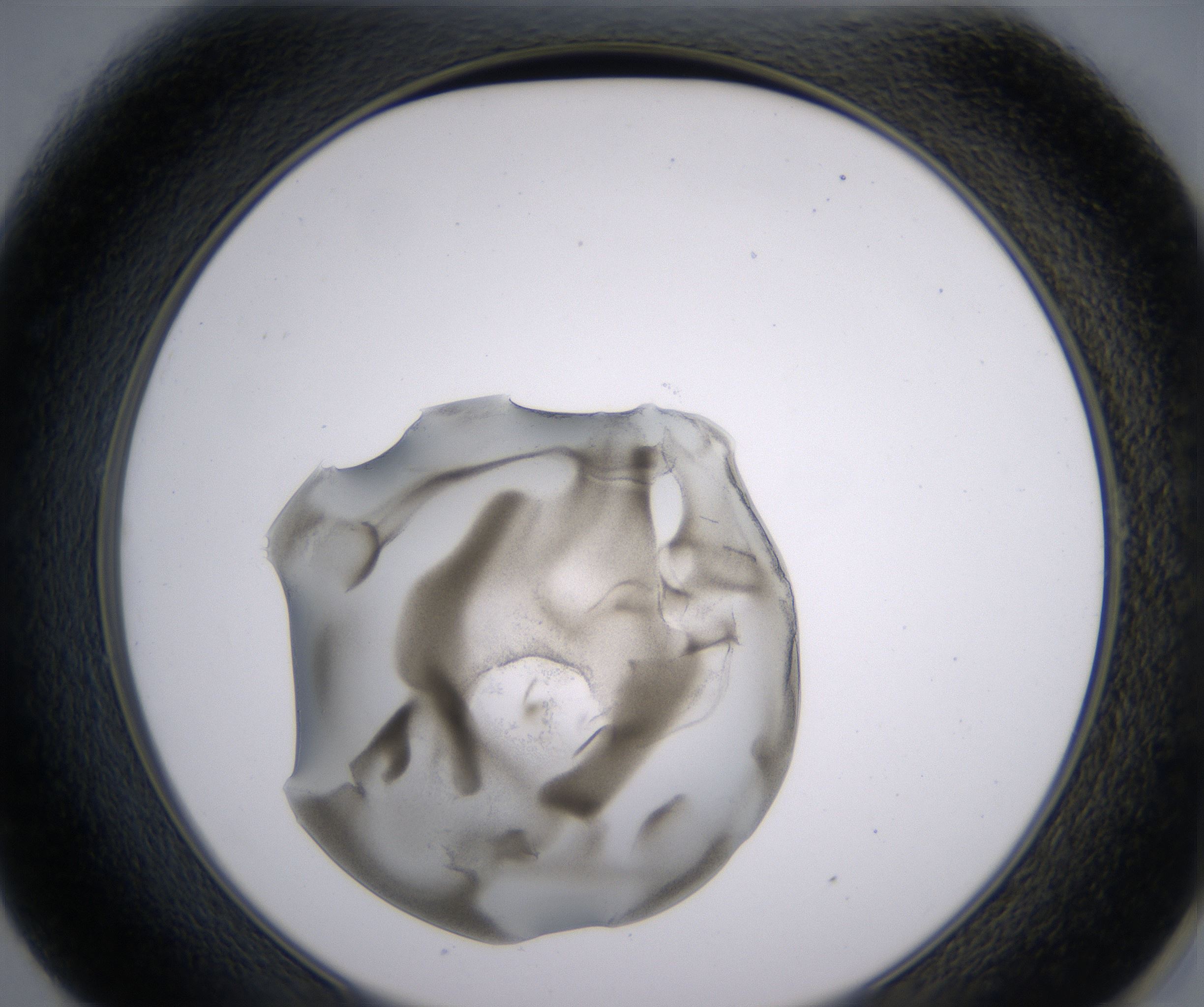 E1_HighResolution_Precipitate_2.jpg