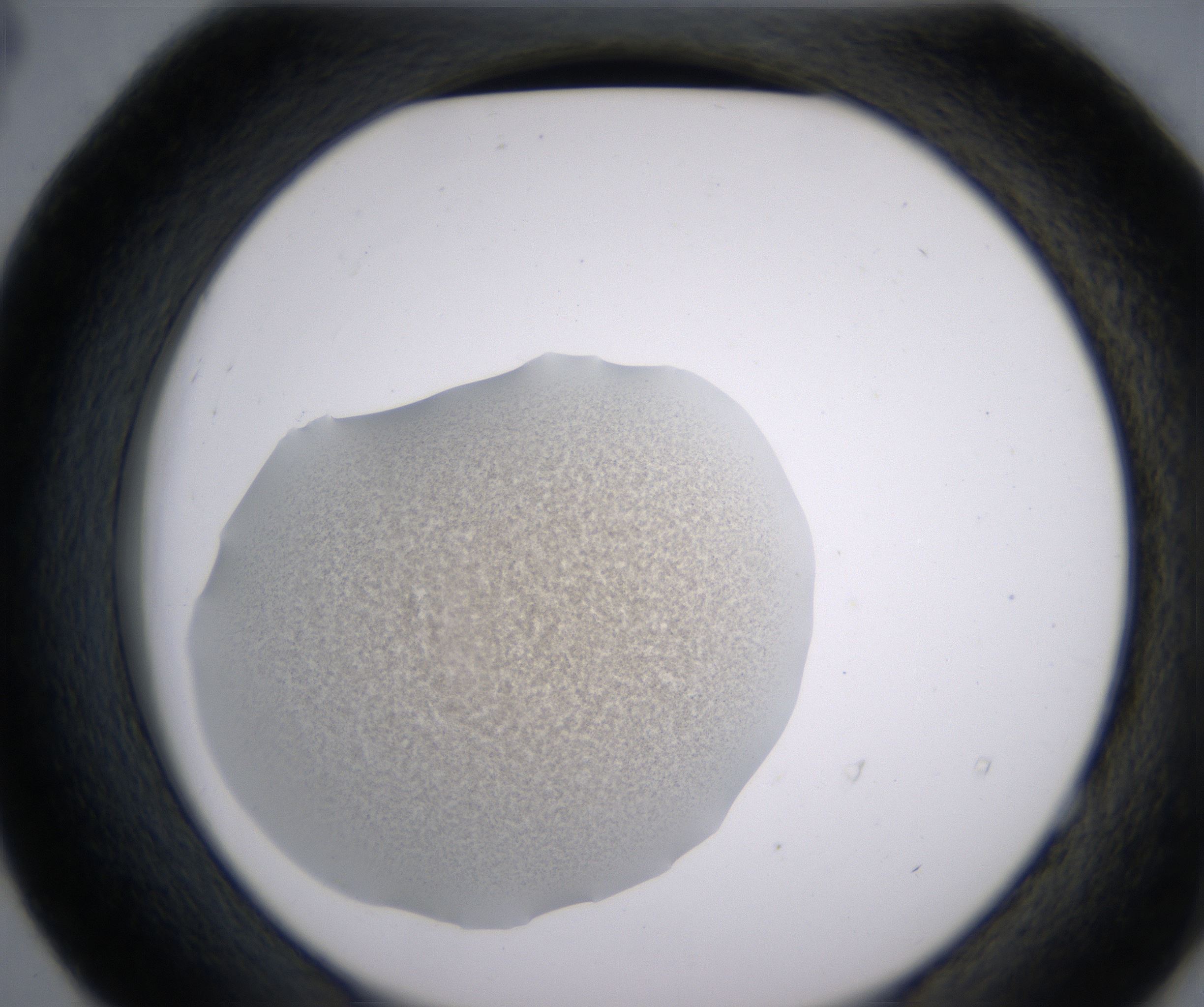 E4_HighResolution_Precipitate_2.jpg