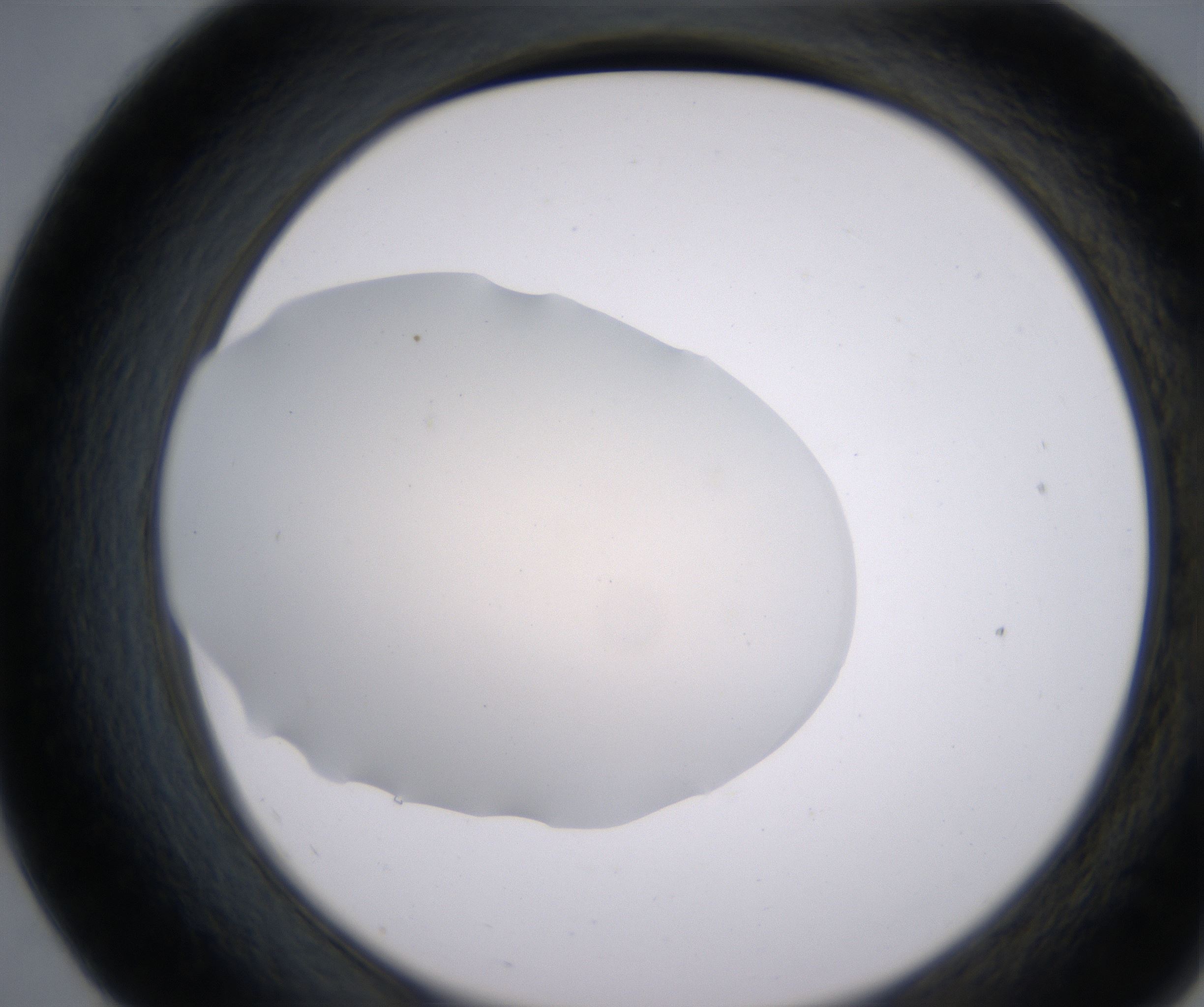 E7_HighResolution_Clear_2.jpg