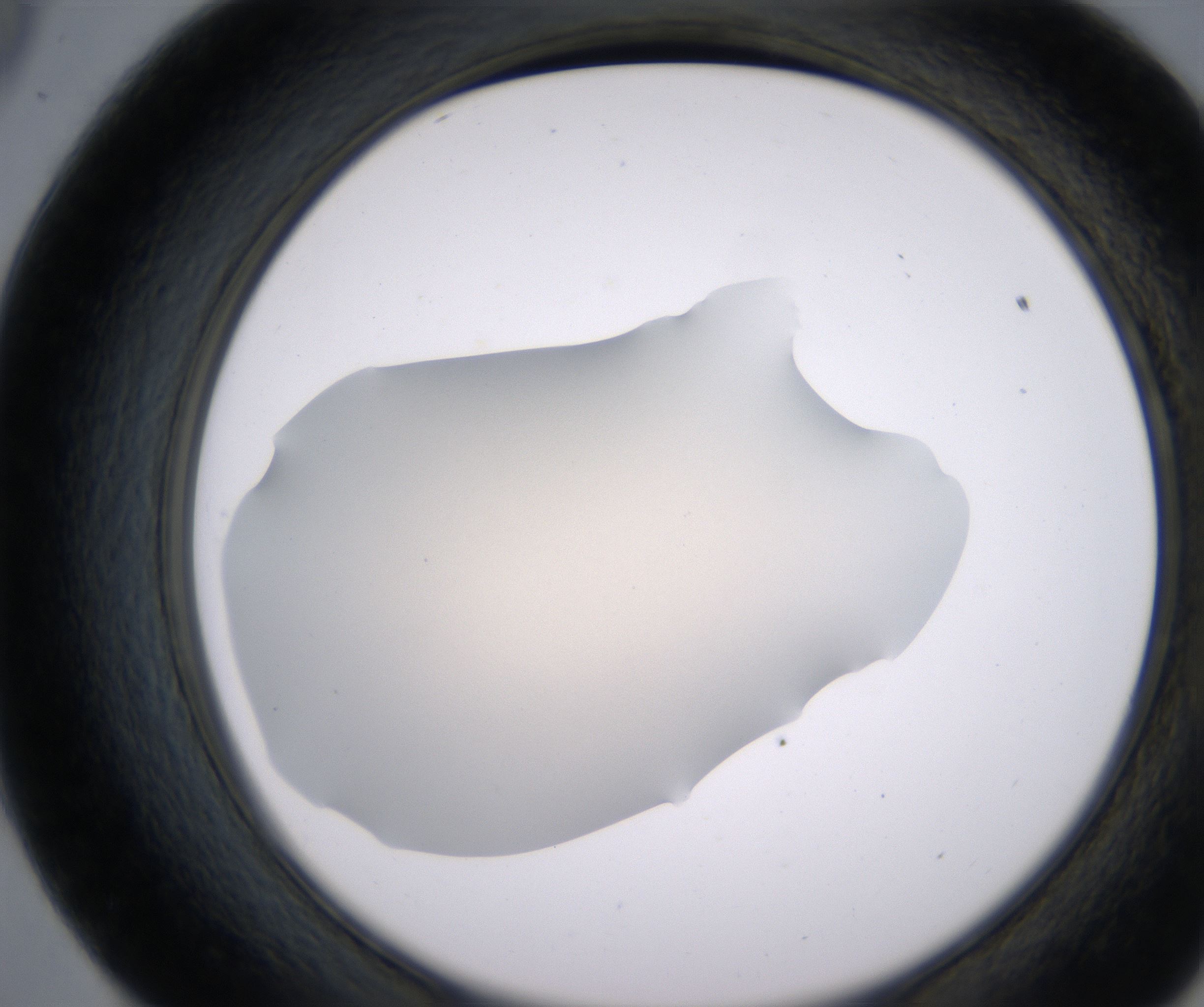 E9_HighResolution_Clear_2.jpg