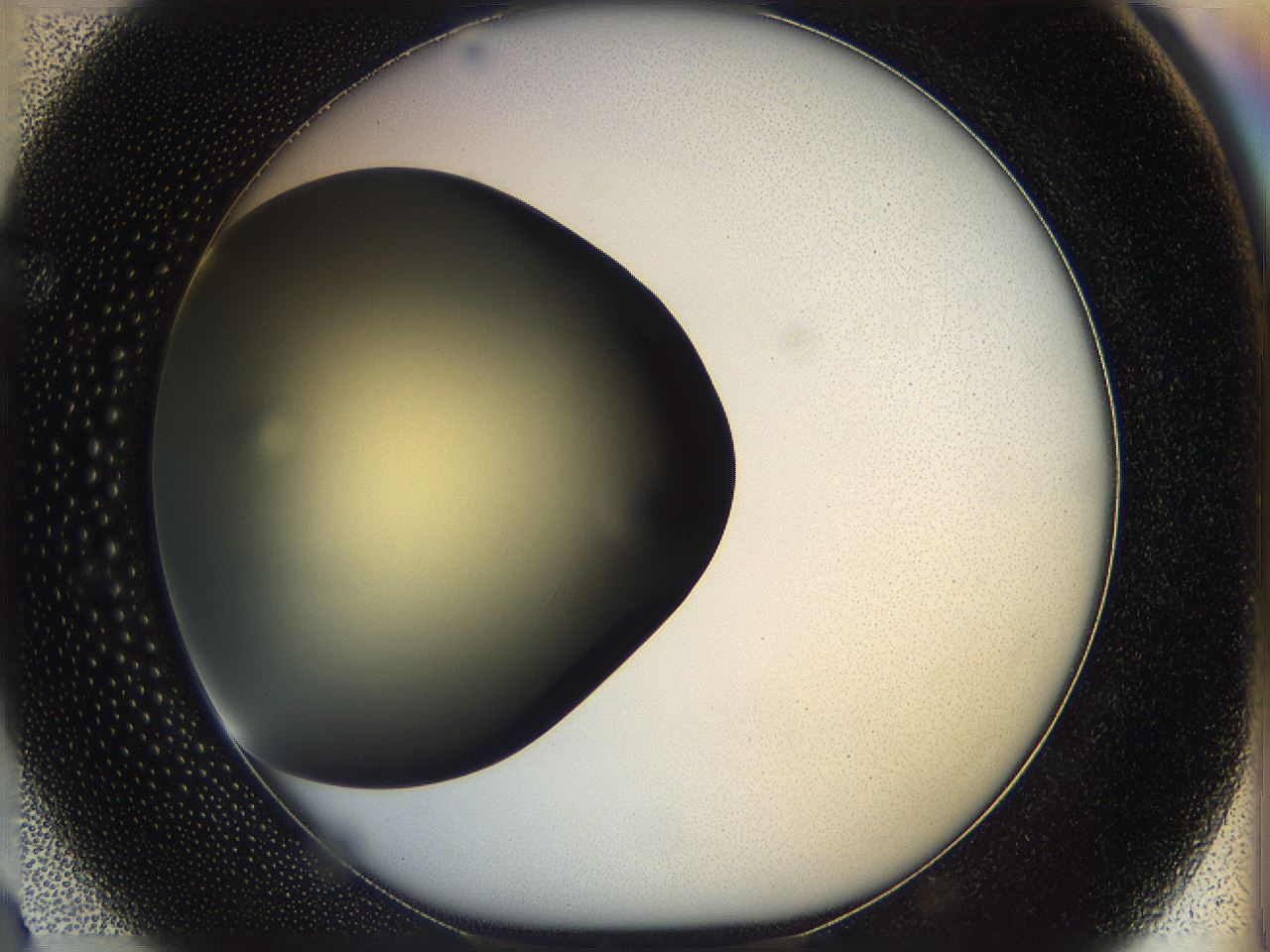 05k2_F3_ImagerDefaults_0.jpg