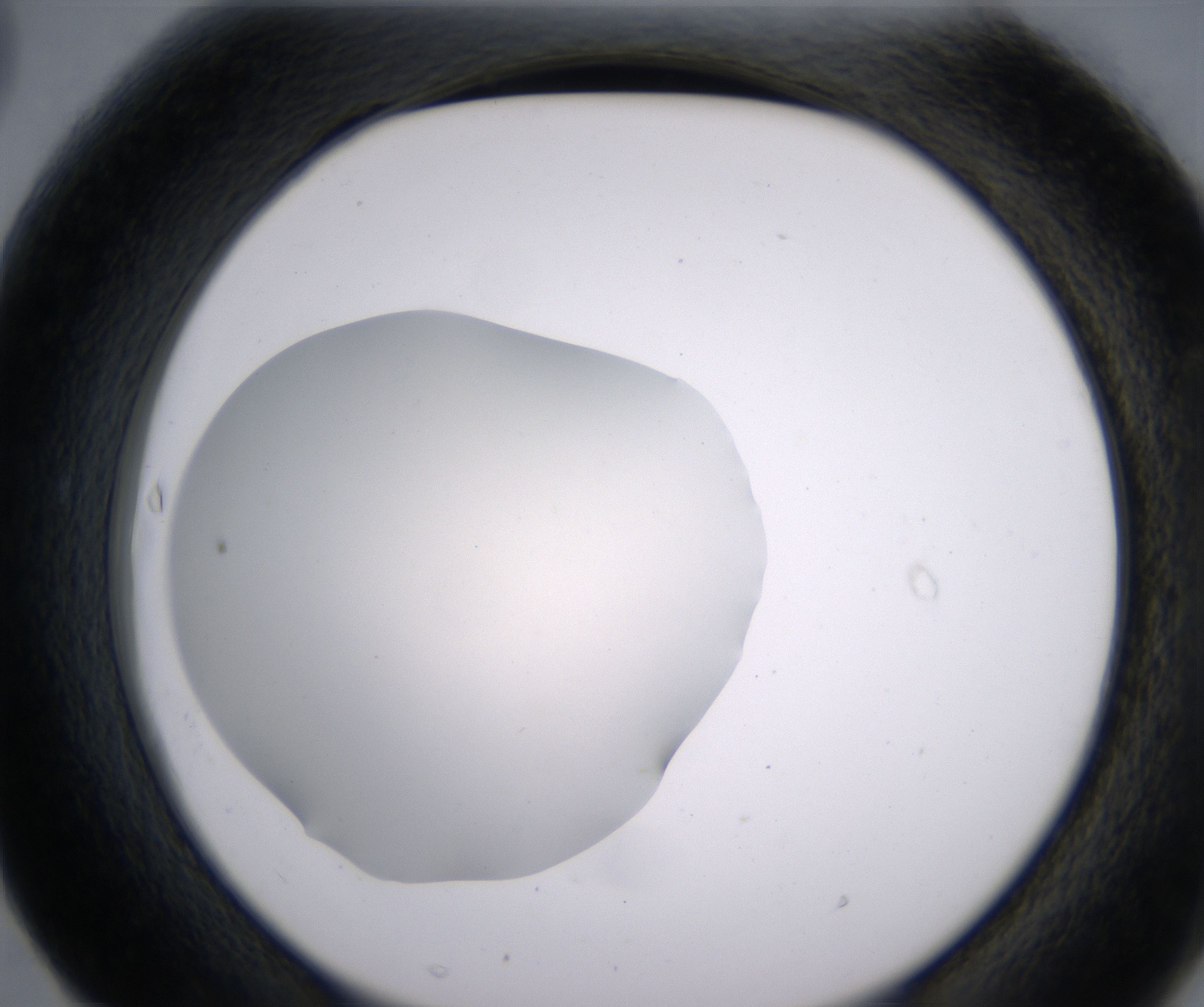 F3_HighResolution_Clear_2.jpg