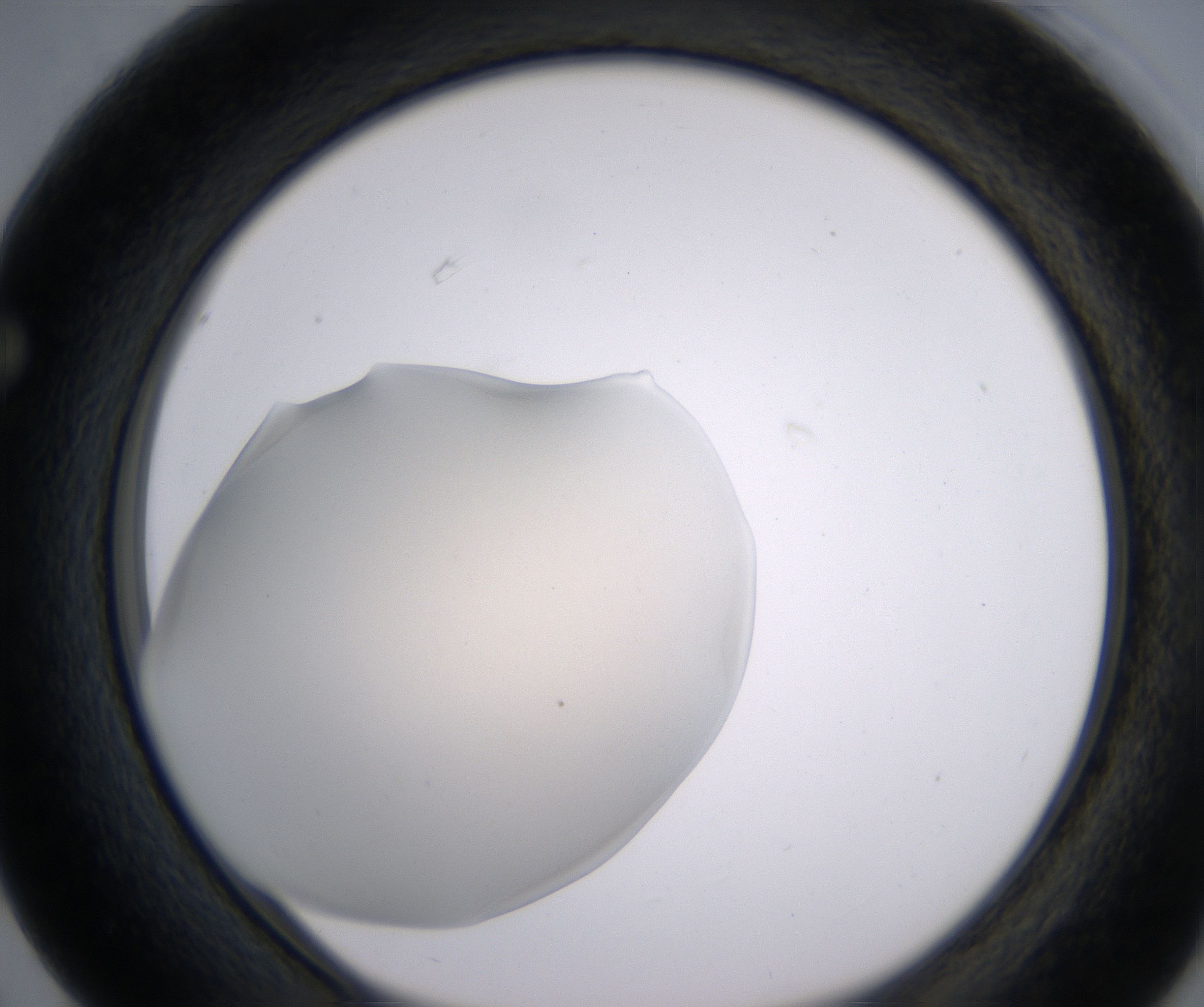 F3_HighResolution_Precipitate_1.jpg