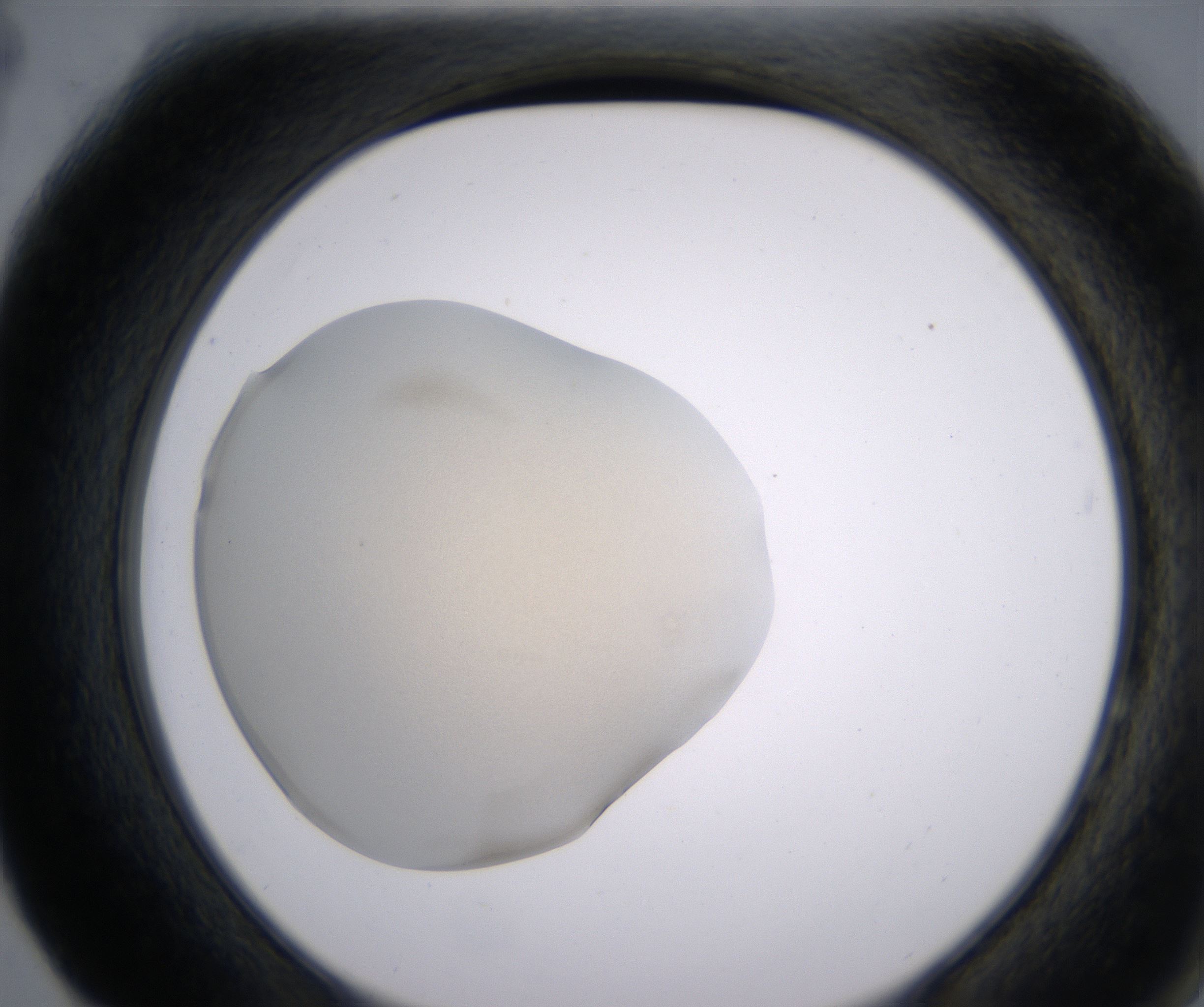F4_HighResolution_Precipitate_2.jpg
