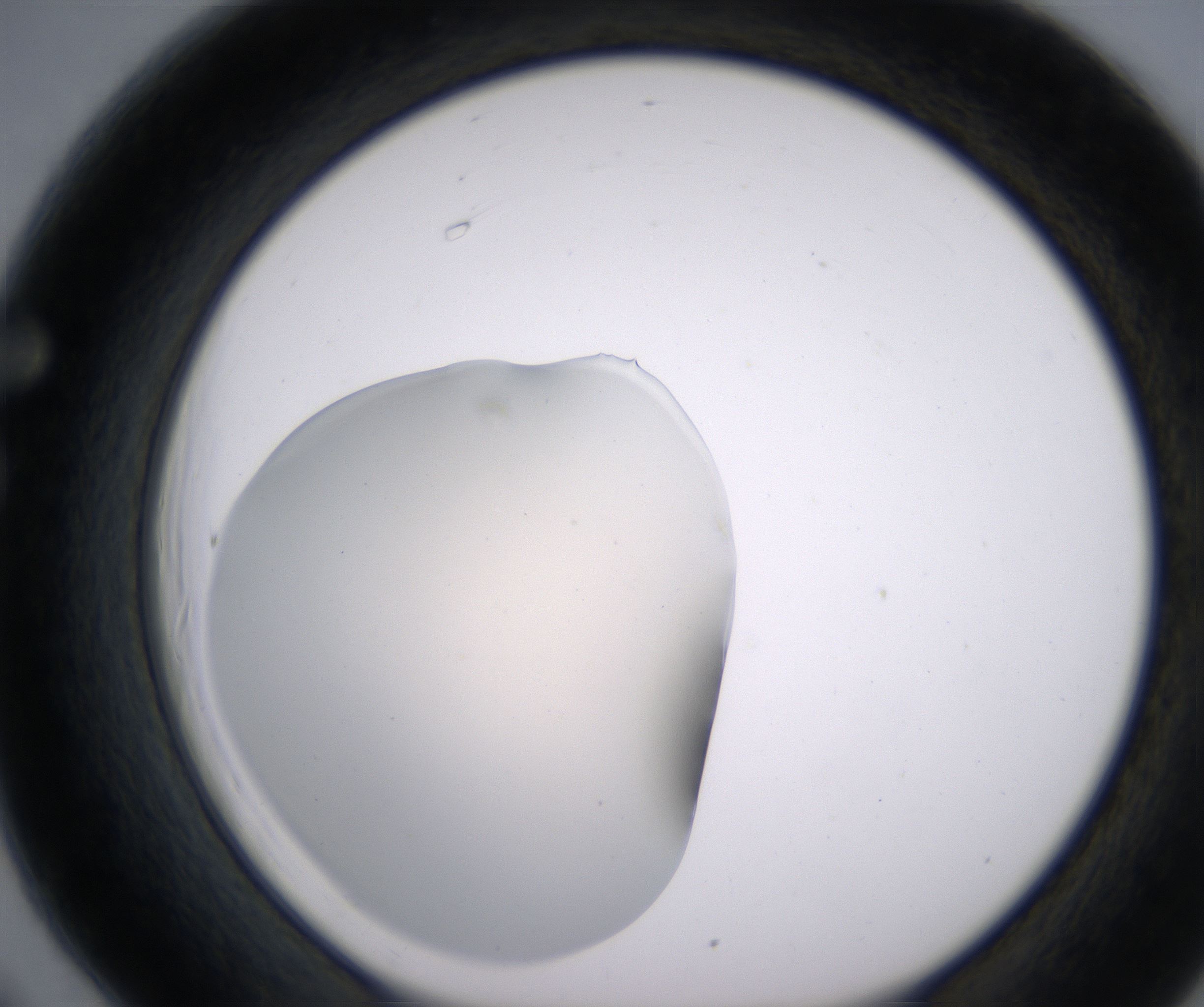 F6_HighResolution_Clear_1.jpg