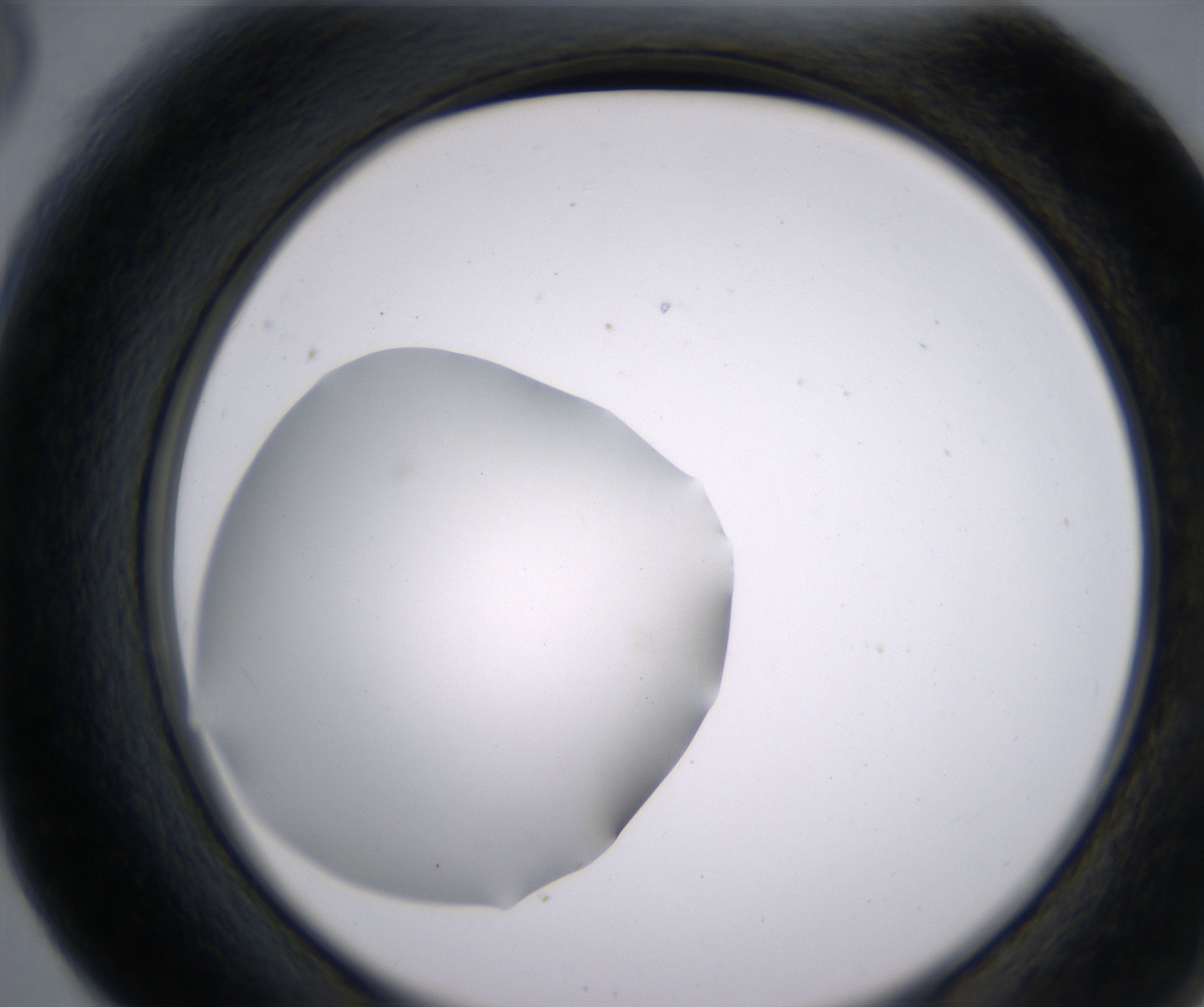 F6_HighResolution_Clear_2.jpg