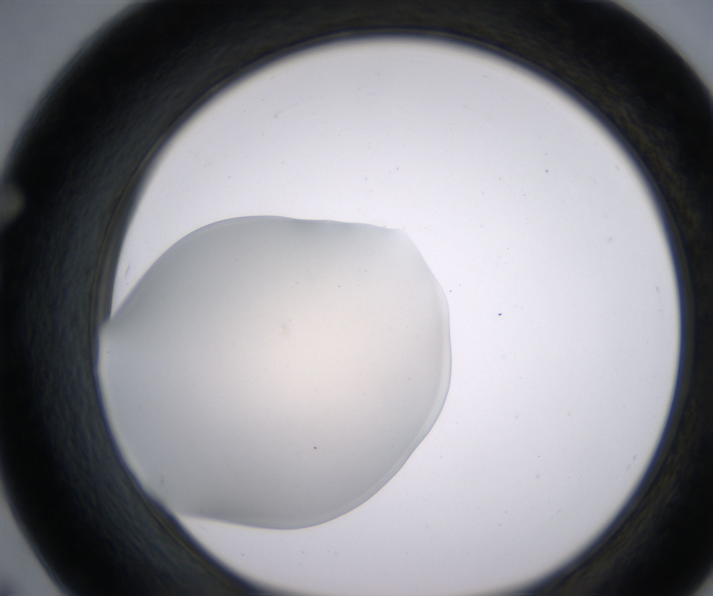 F7_HighResolution_Clear_1.jpg
